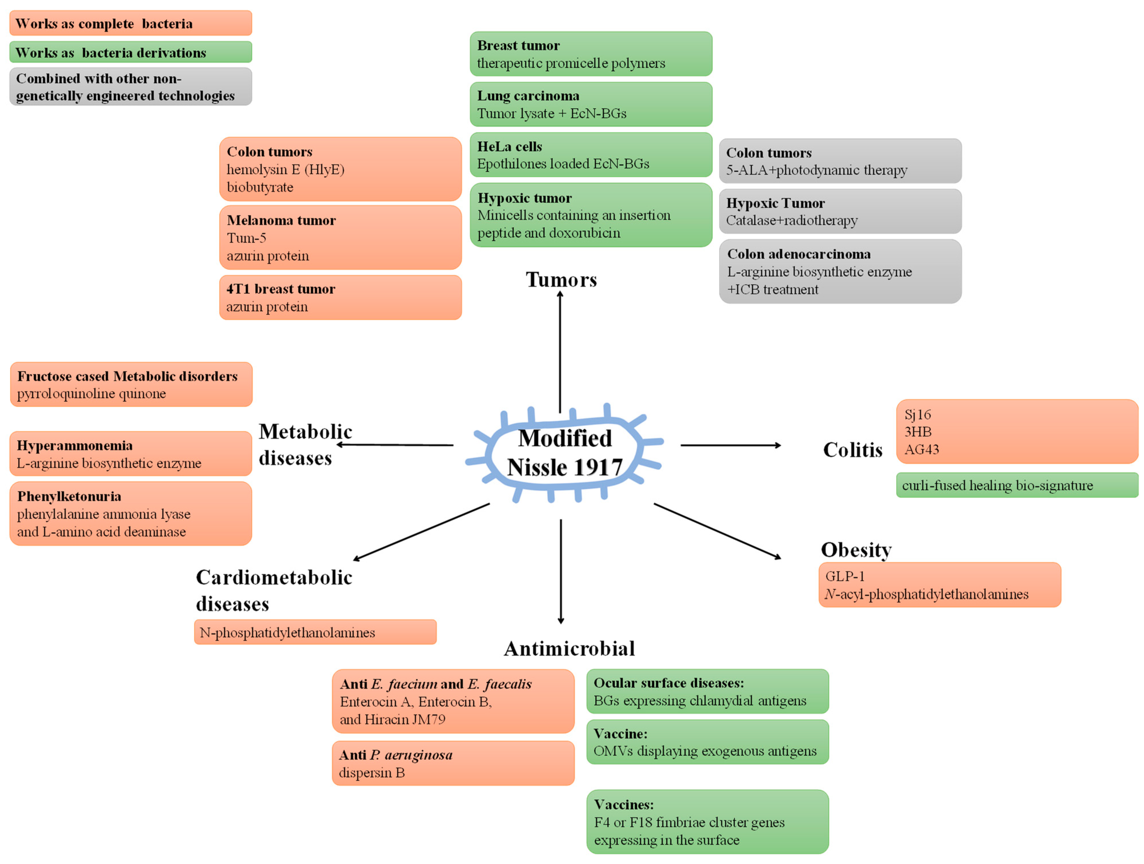 Ijms 23 00594 g002 Ijms 23 00594 g002