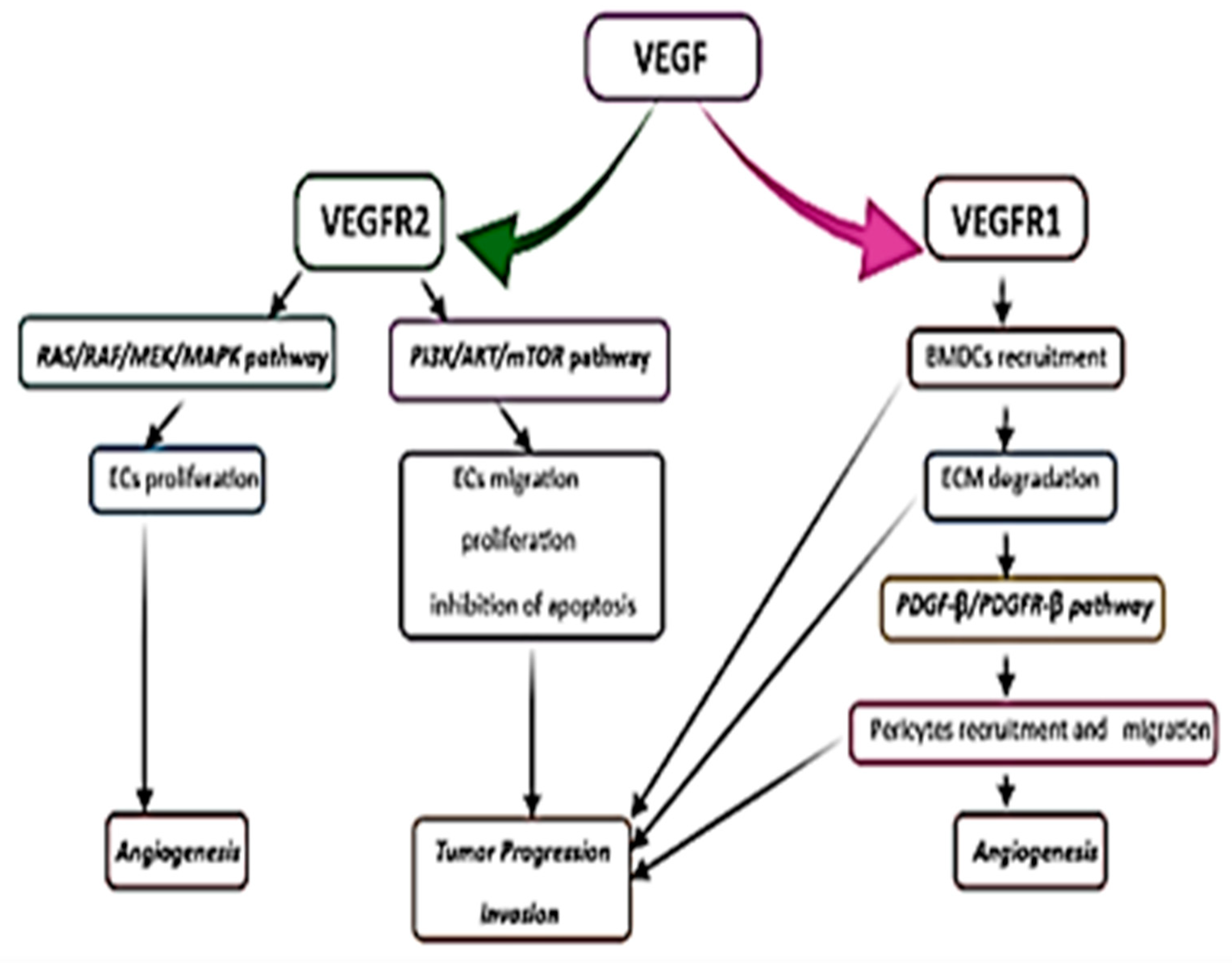 Ijms 23 00595 g005 Ijms 23 00595 g005