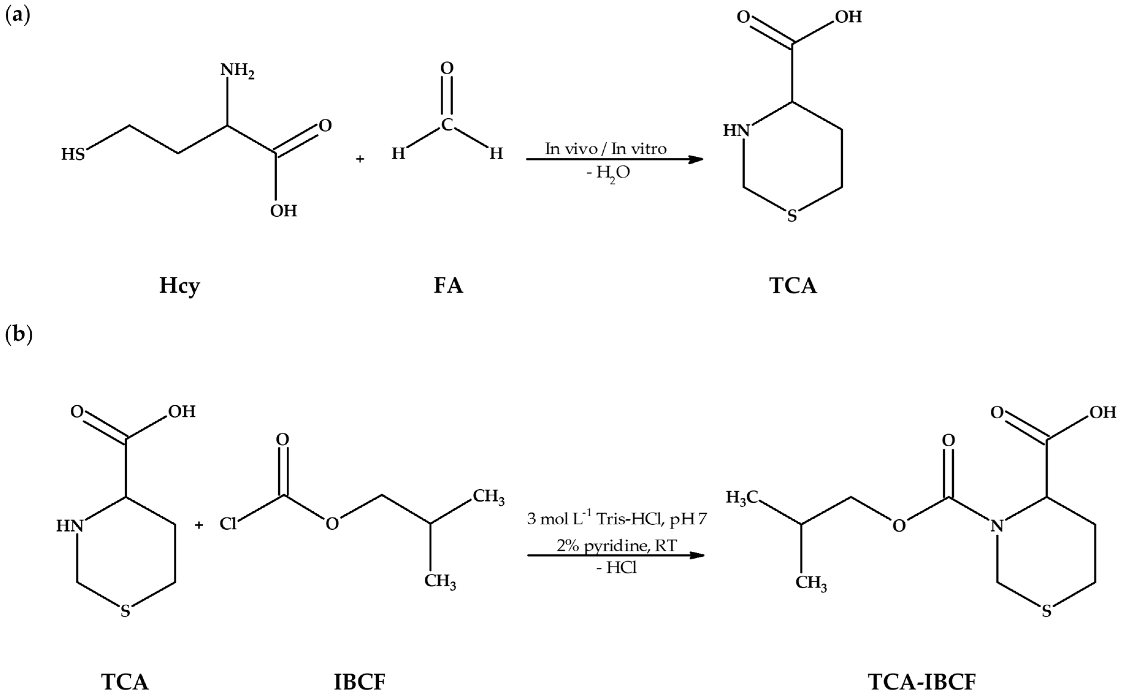 Ijms 23 00598 g001 550