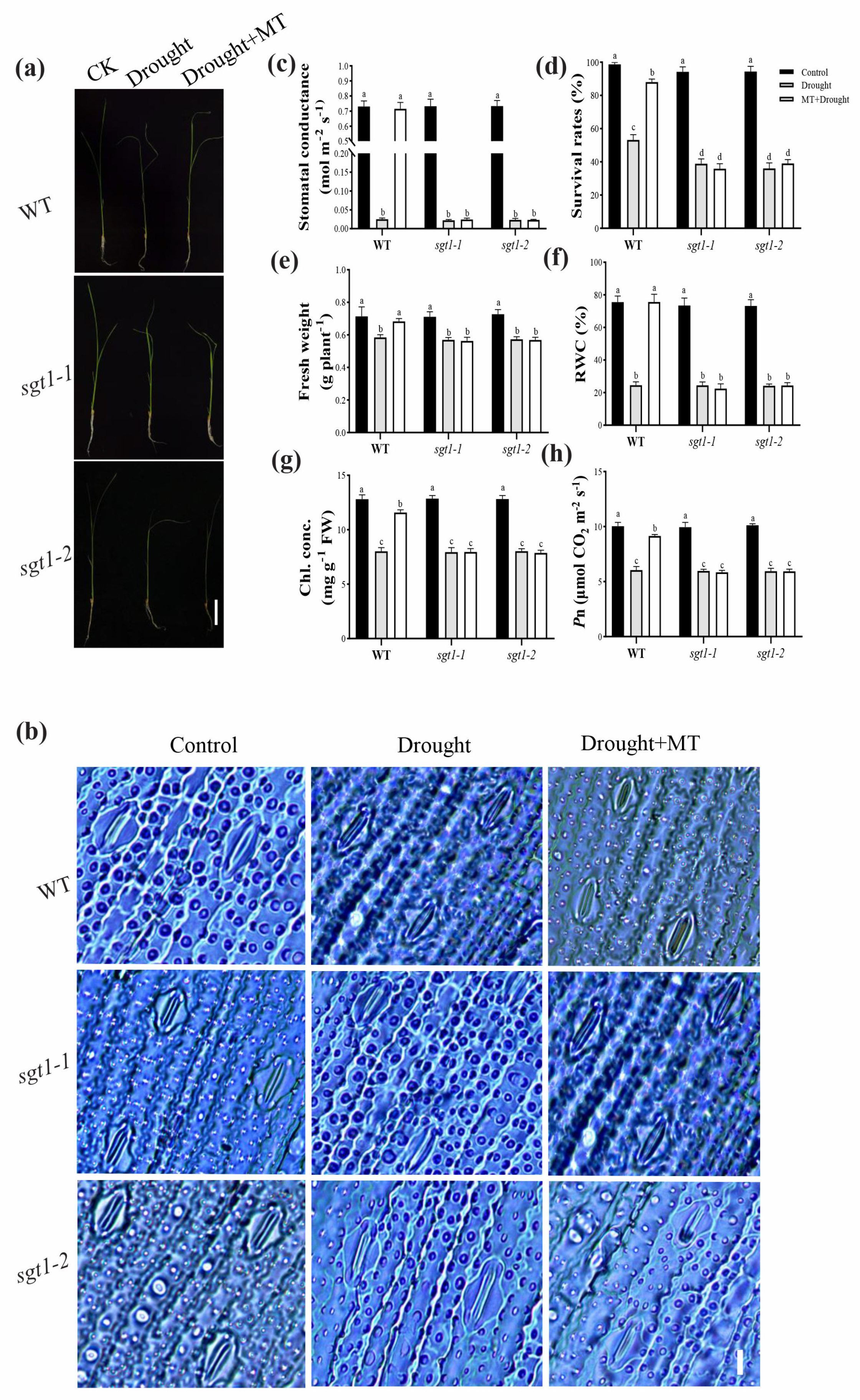 Ijms 23 00599 g001 550