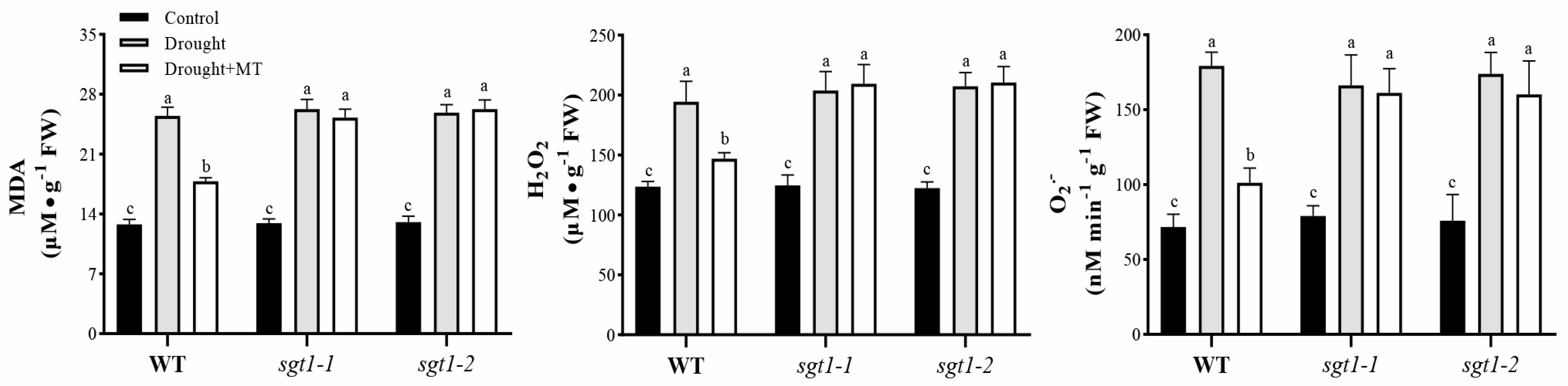 Ijms 23 00599 g002 550