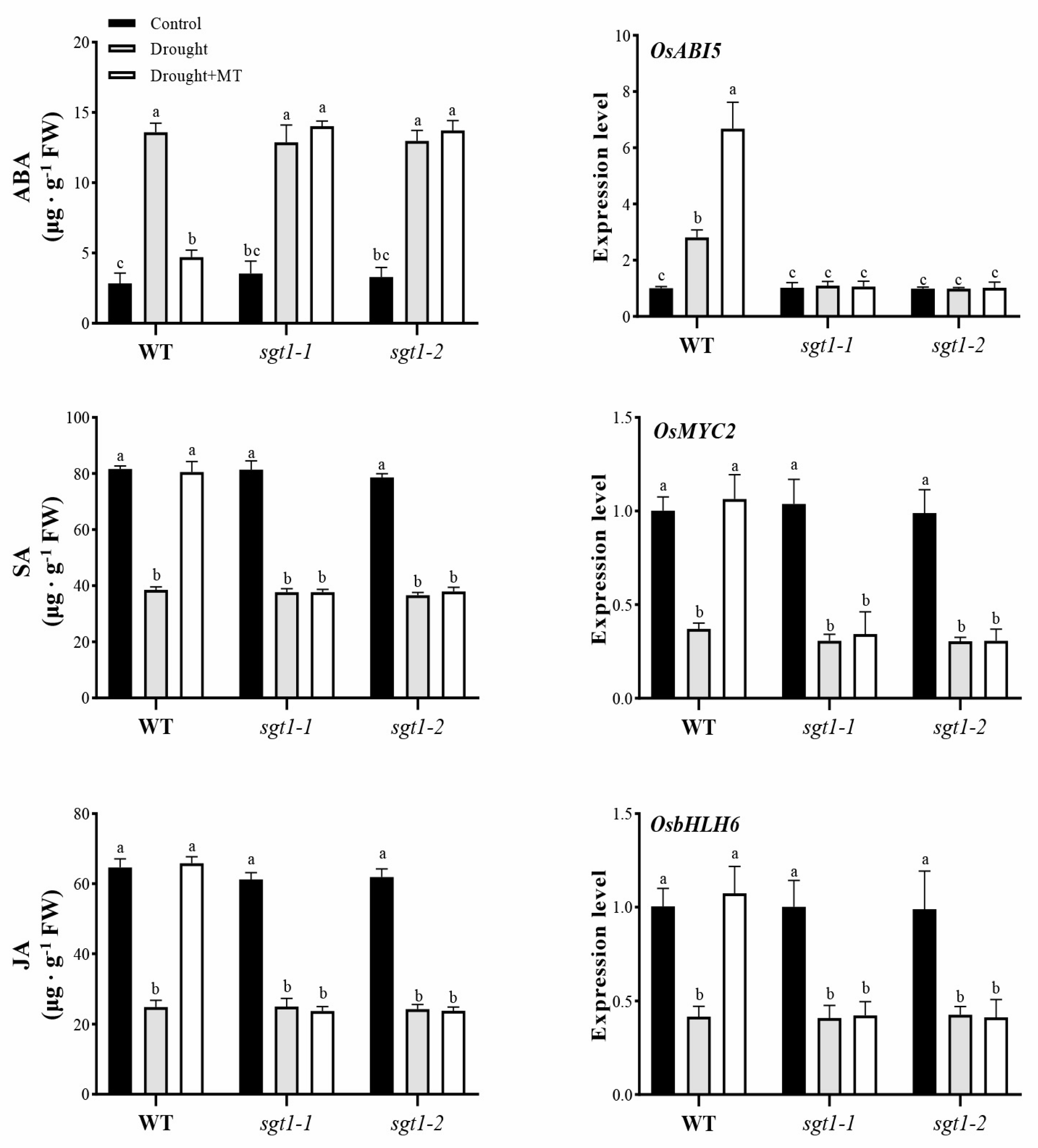 Ijms 23 00599 g004 550