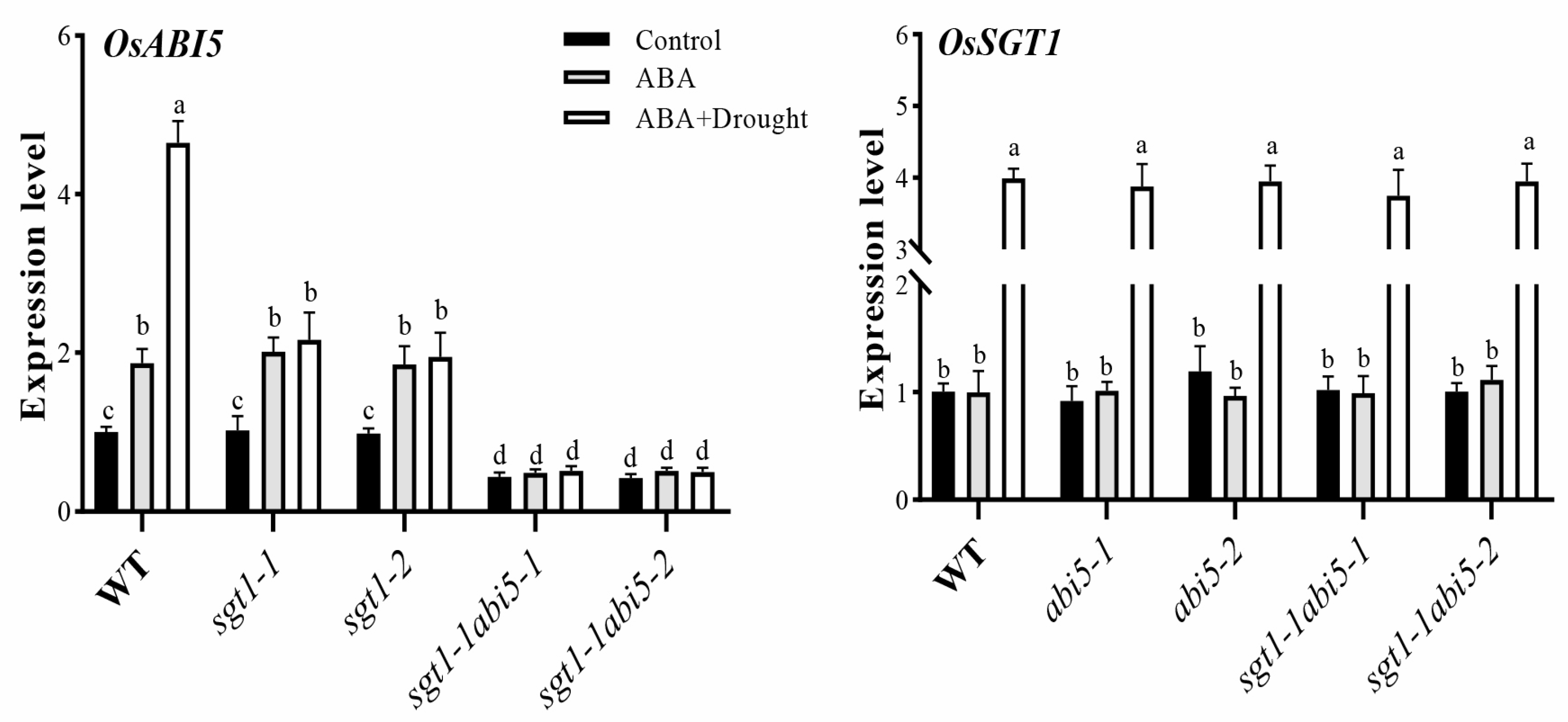 Ijms 23 00599 g006 550
