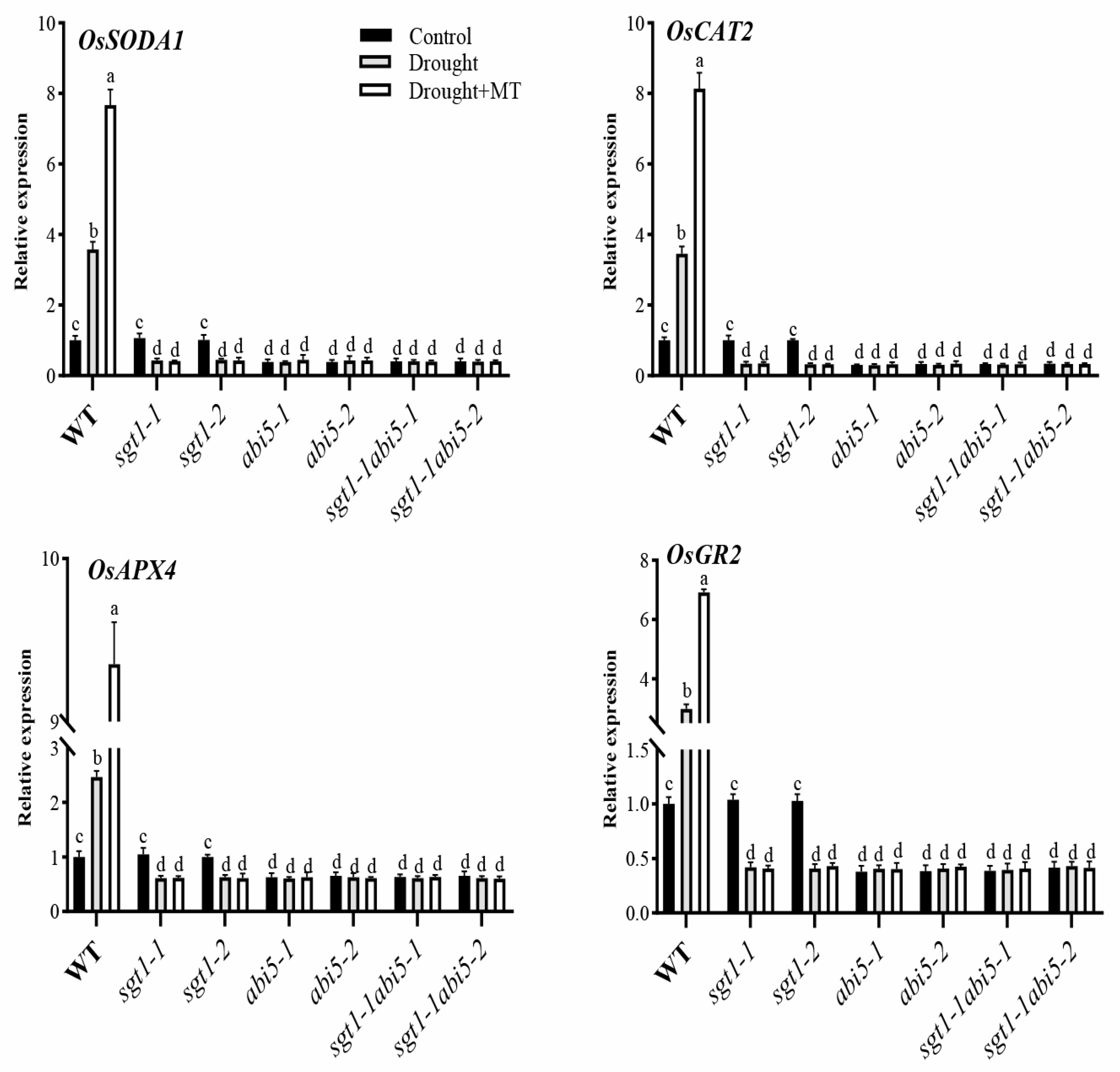 Ijms 23 00599 g007 550