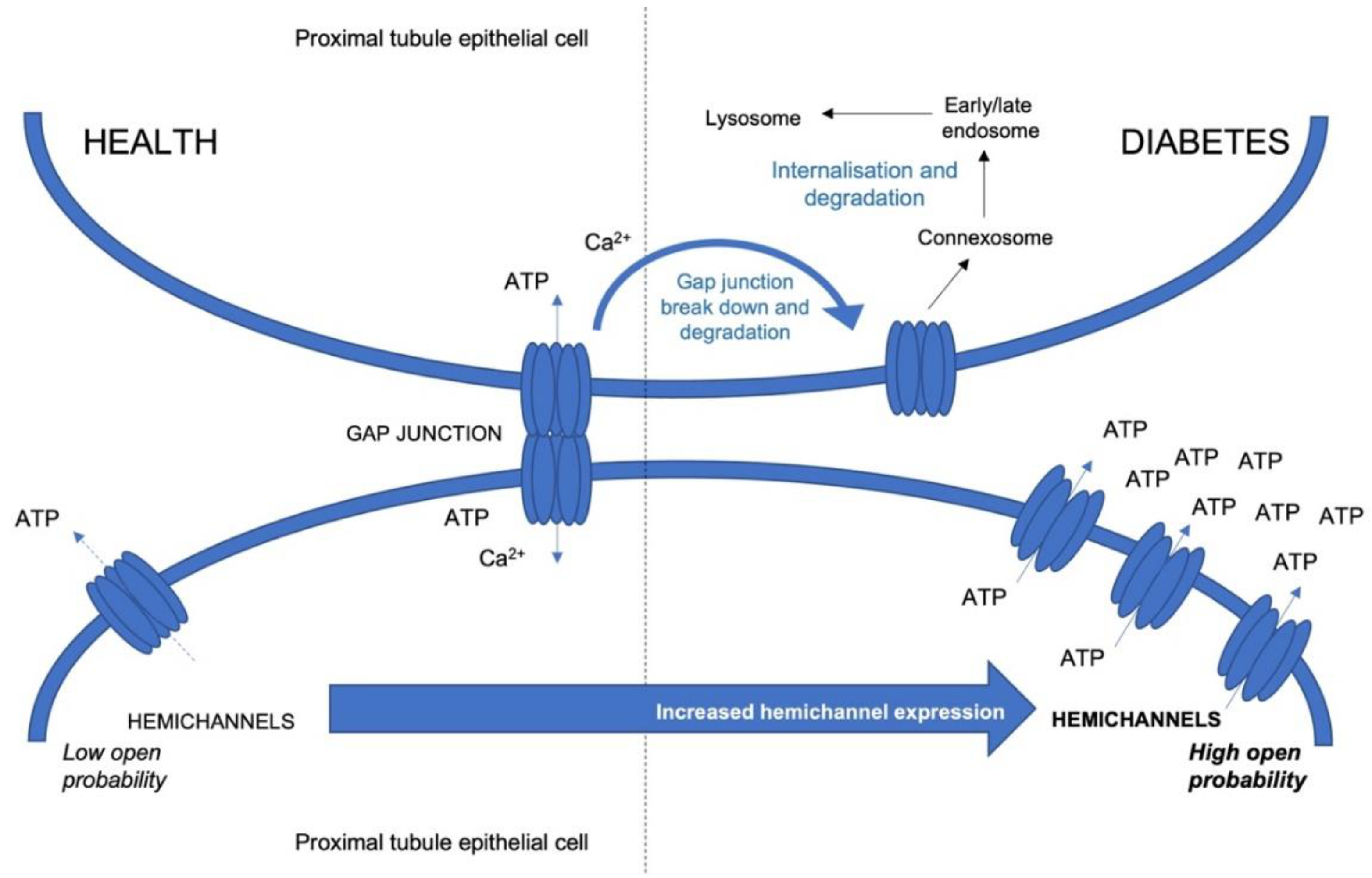 Ijms 23 00600 g001 550