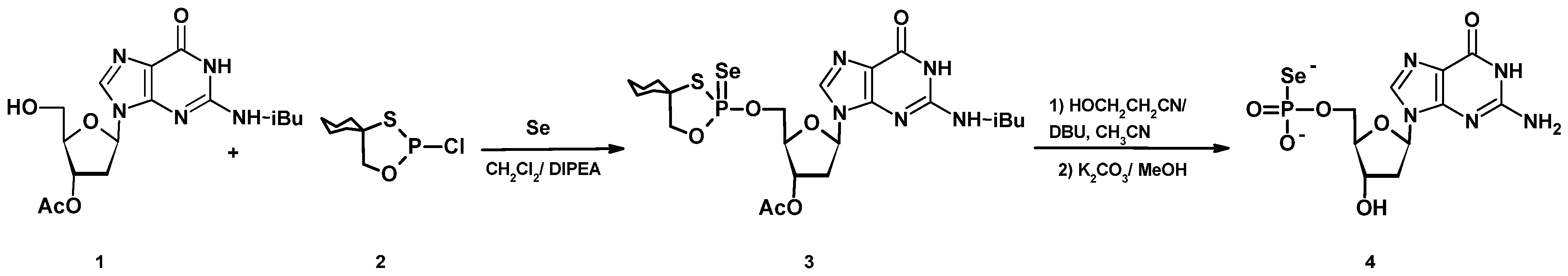 Ijms 23 00607 sch001 550
