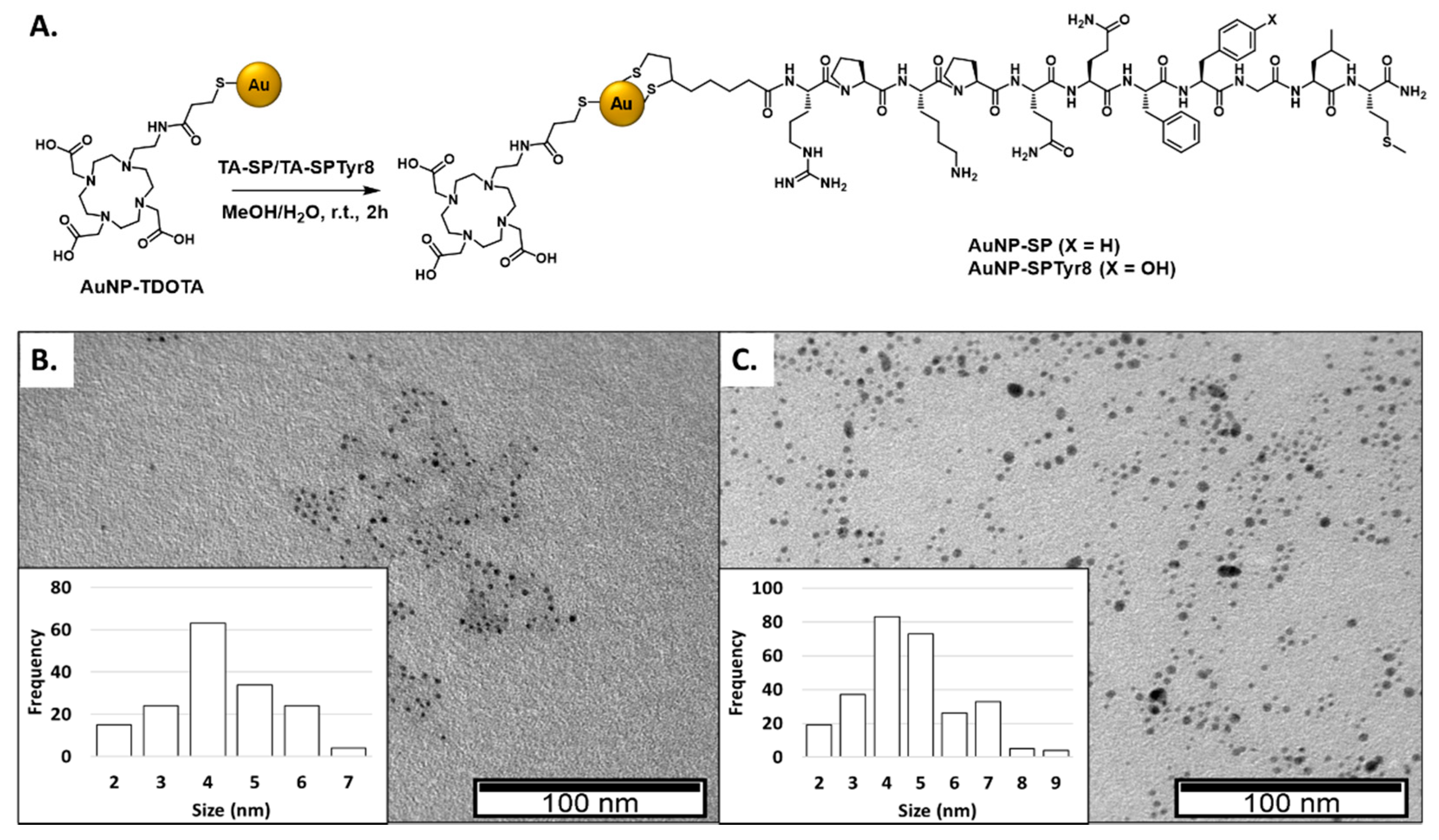 Ijms 23 00617 g001 Ijms 23 00617 g001