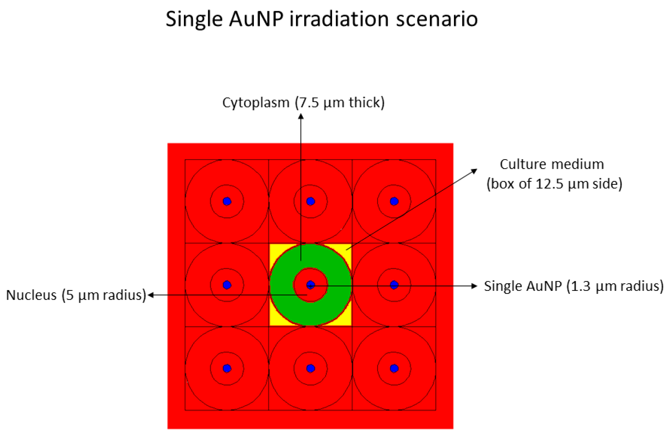 Ijms 23 00617 g009 Ijms 23 00617 g009
