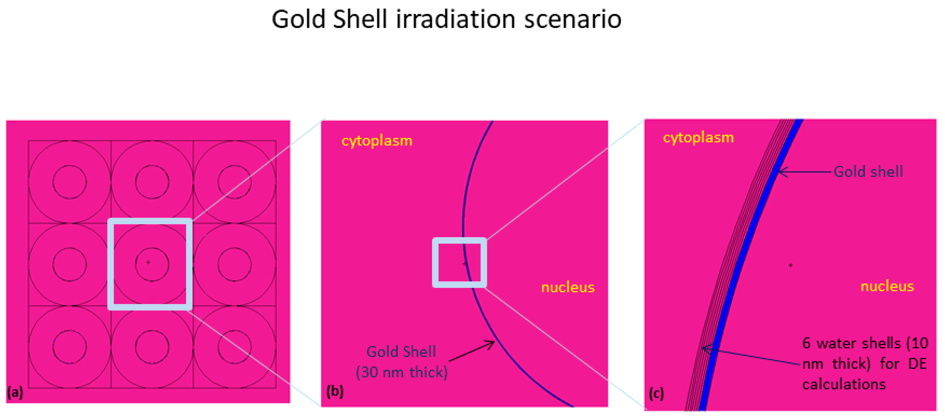 Ijms 23 00617 g010 Ijms 23 00617 g010