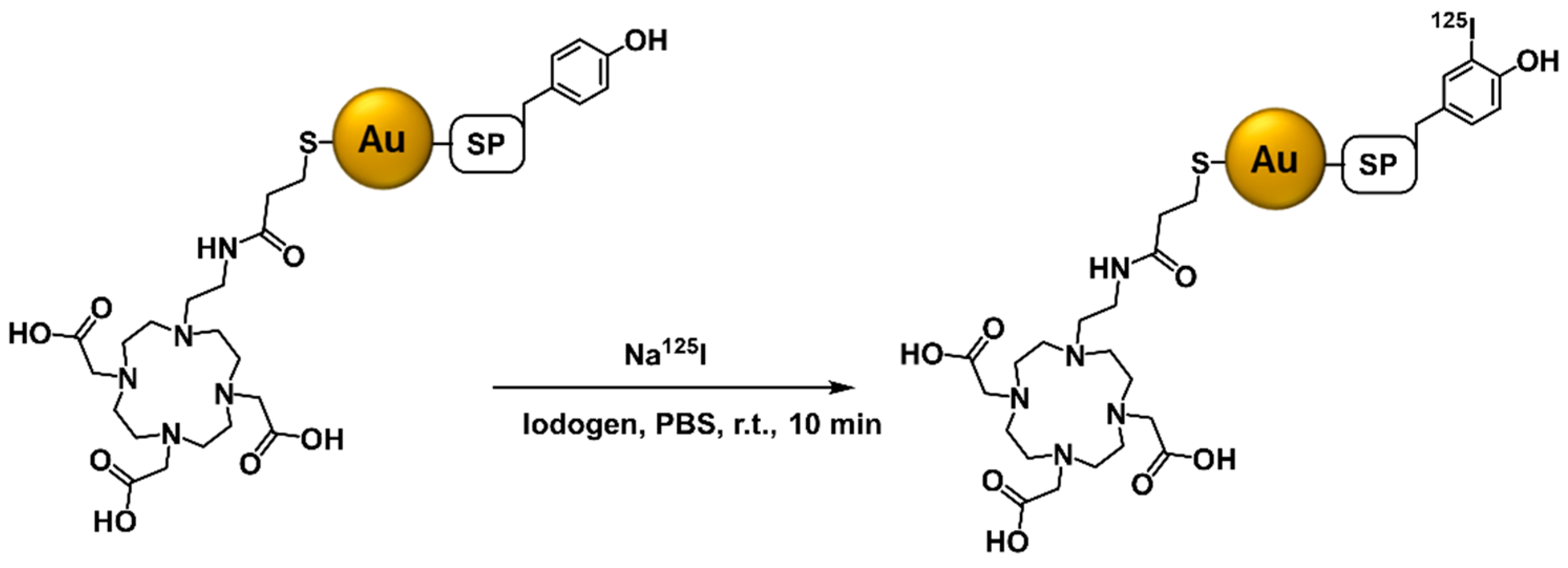 Ijms 23 00617 sch003 Ijms 23 00617 sch003