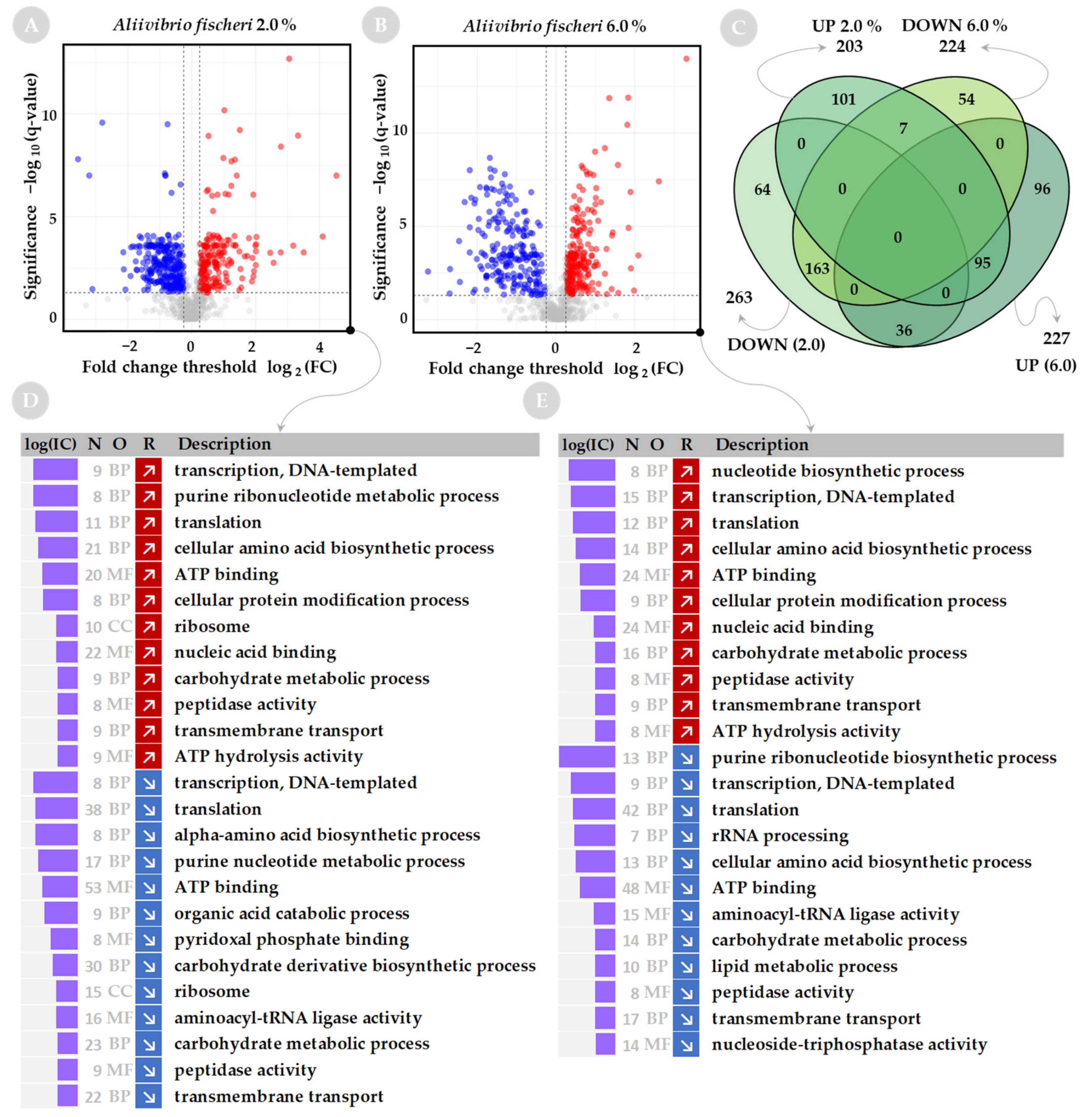 Ijms 23 00619 g003 Ijms 23 00619 g003