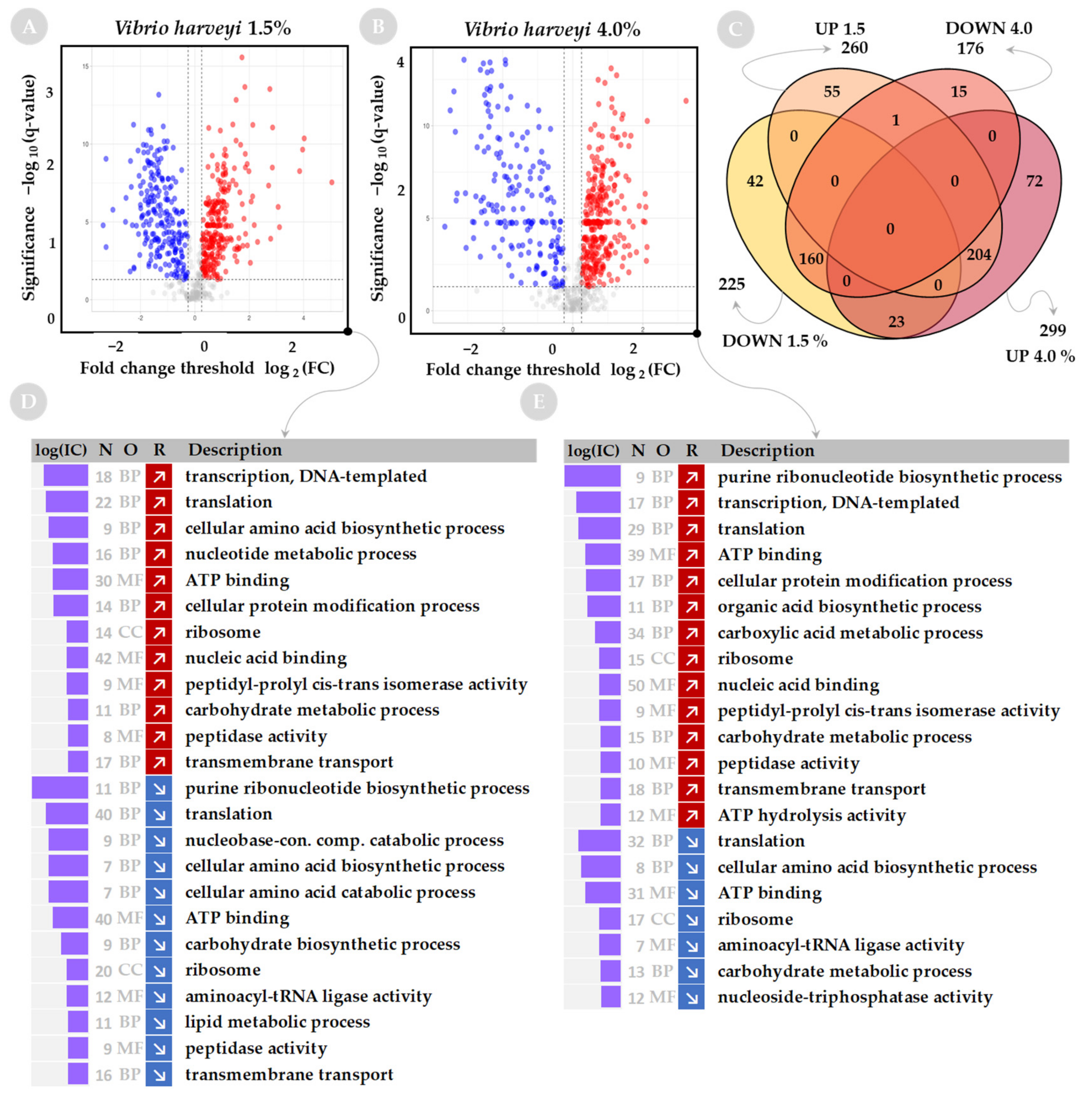 Ijms 23 00619 g004 Ijms 23 00619 g004