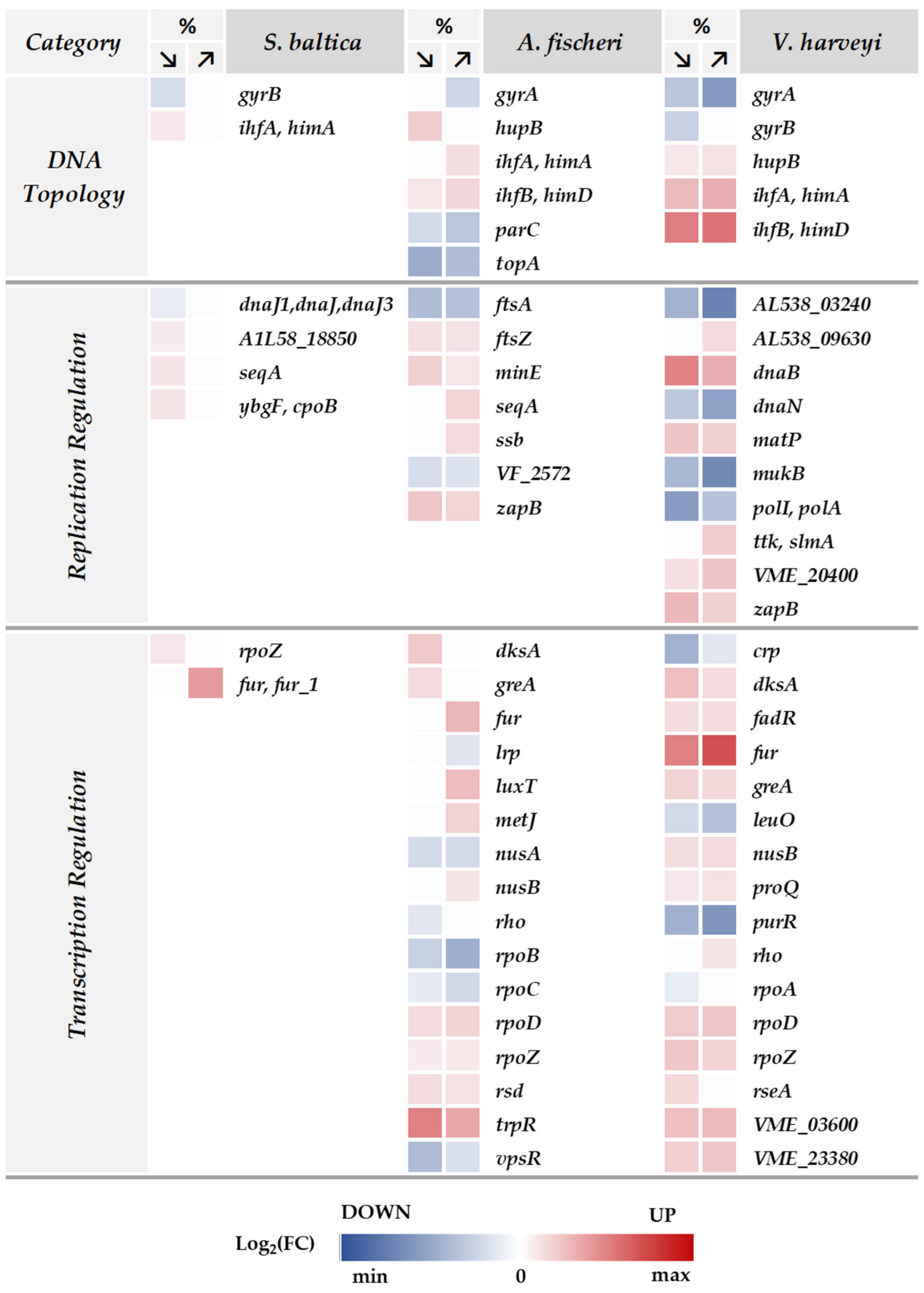 Ijms 23 00619 g006 Ijms 23 00619 g006