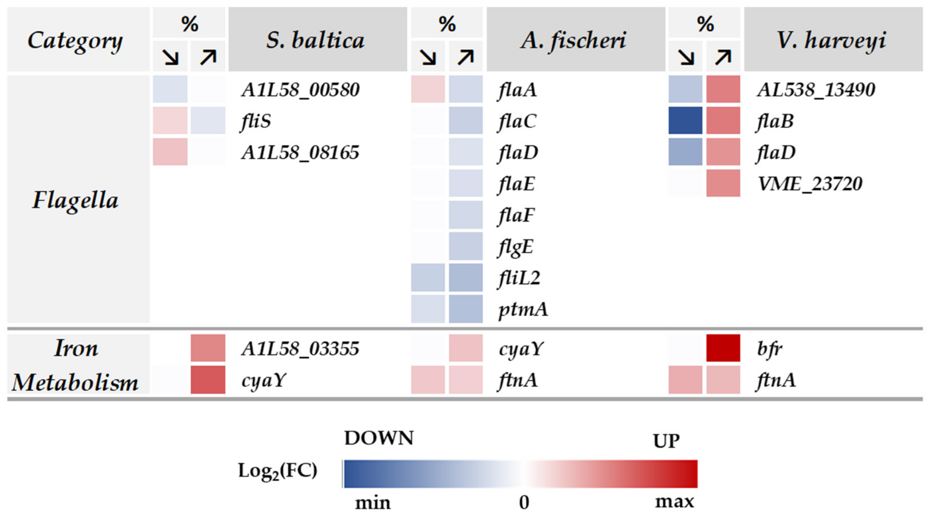 Ijms 23 00619 g007 Ijms 23 00619 g007
