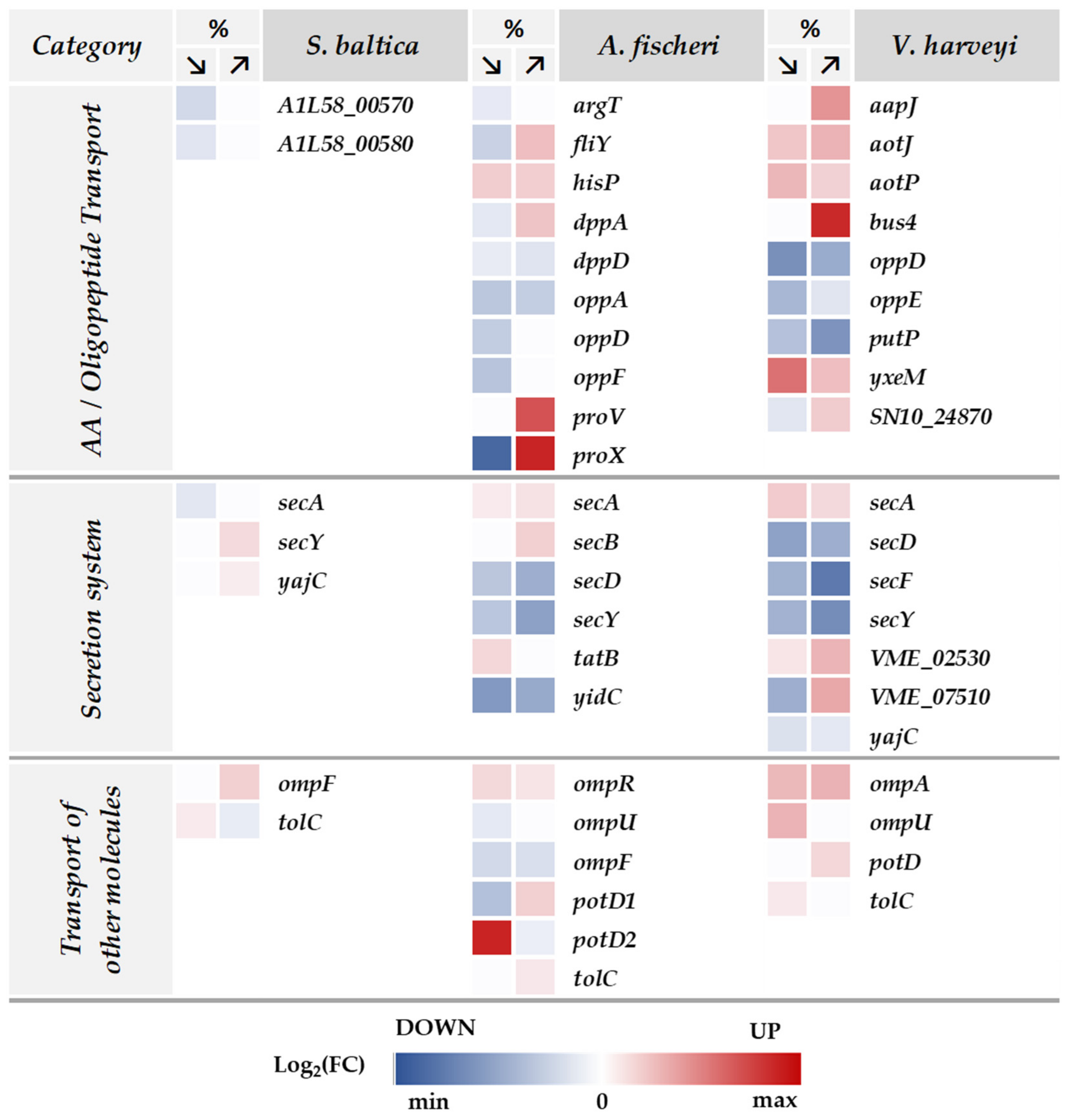 Ijms 23 00619 g008 Ijms 23 00619 g008