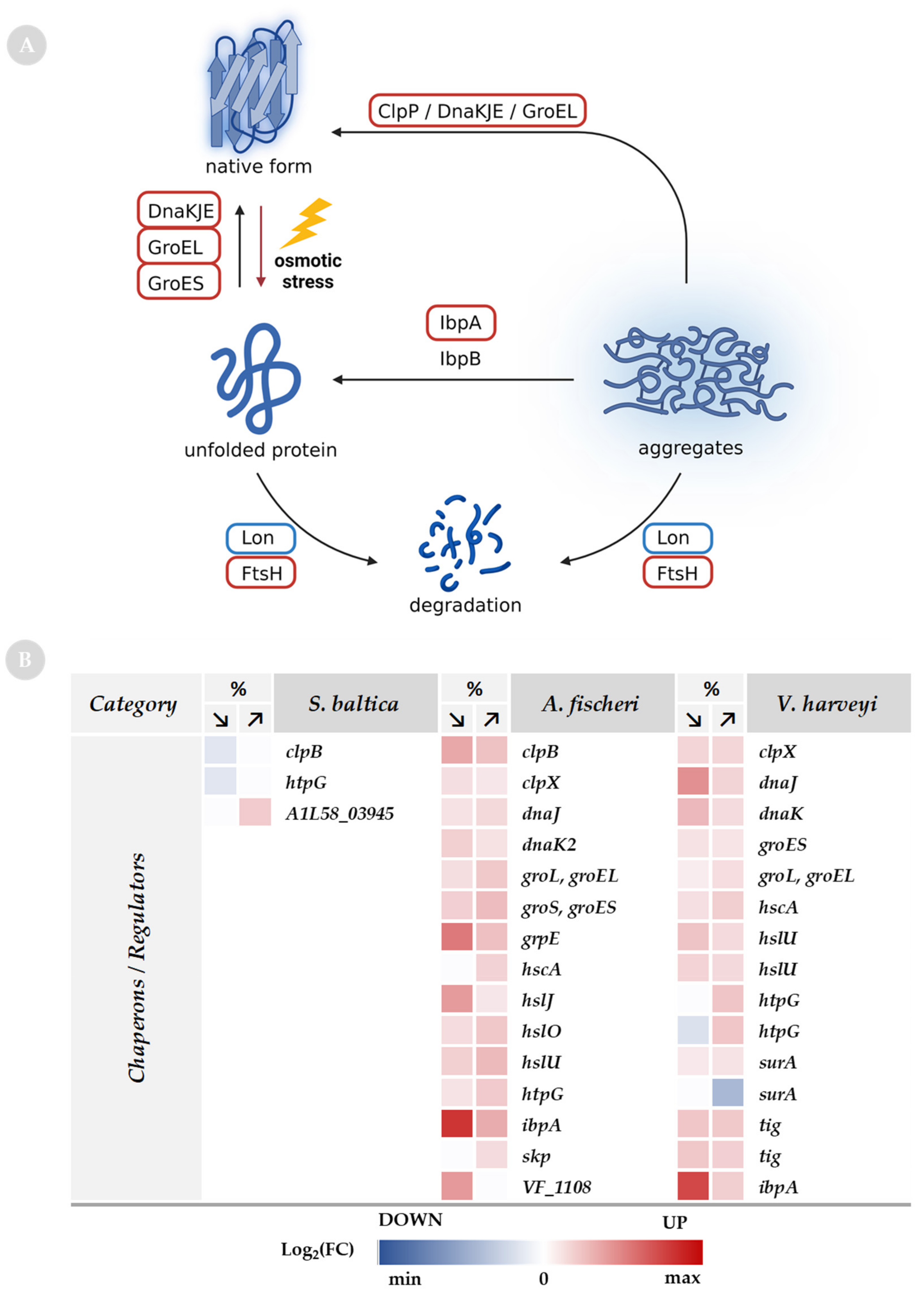 Ijms 23 00619 g009 Ijms 23 00619 g009