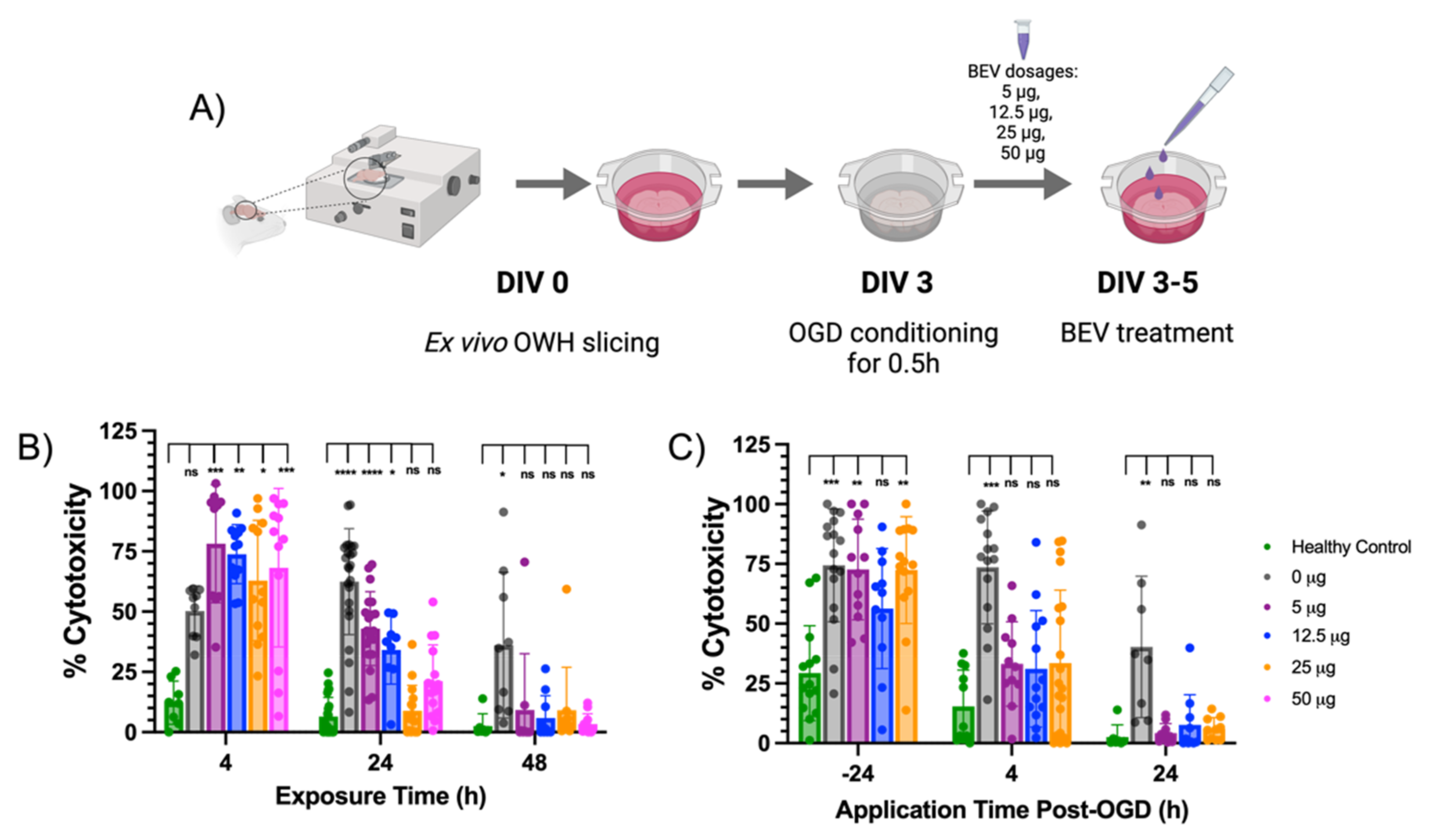 Ijms 23 00620 g003 550