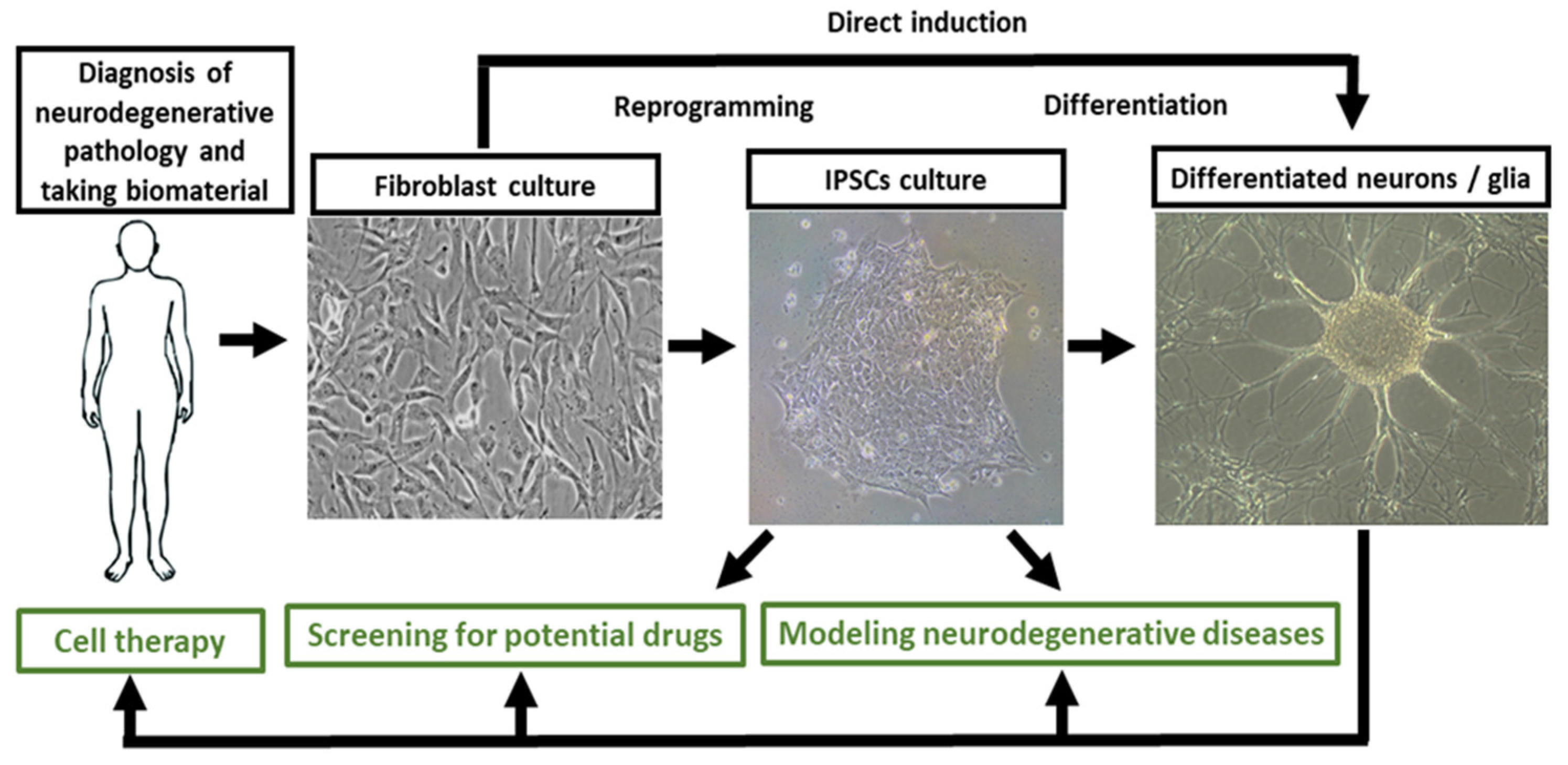 Ijms 23 00624 g001 550