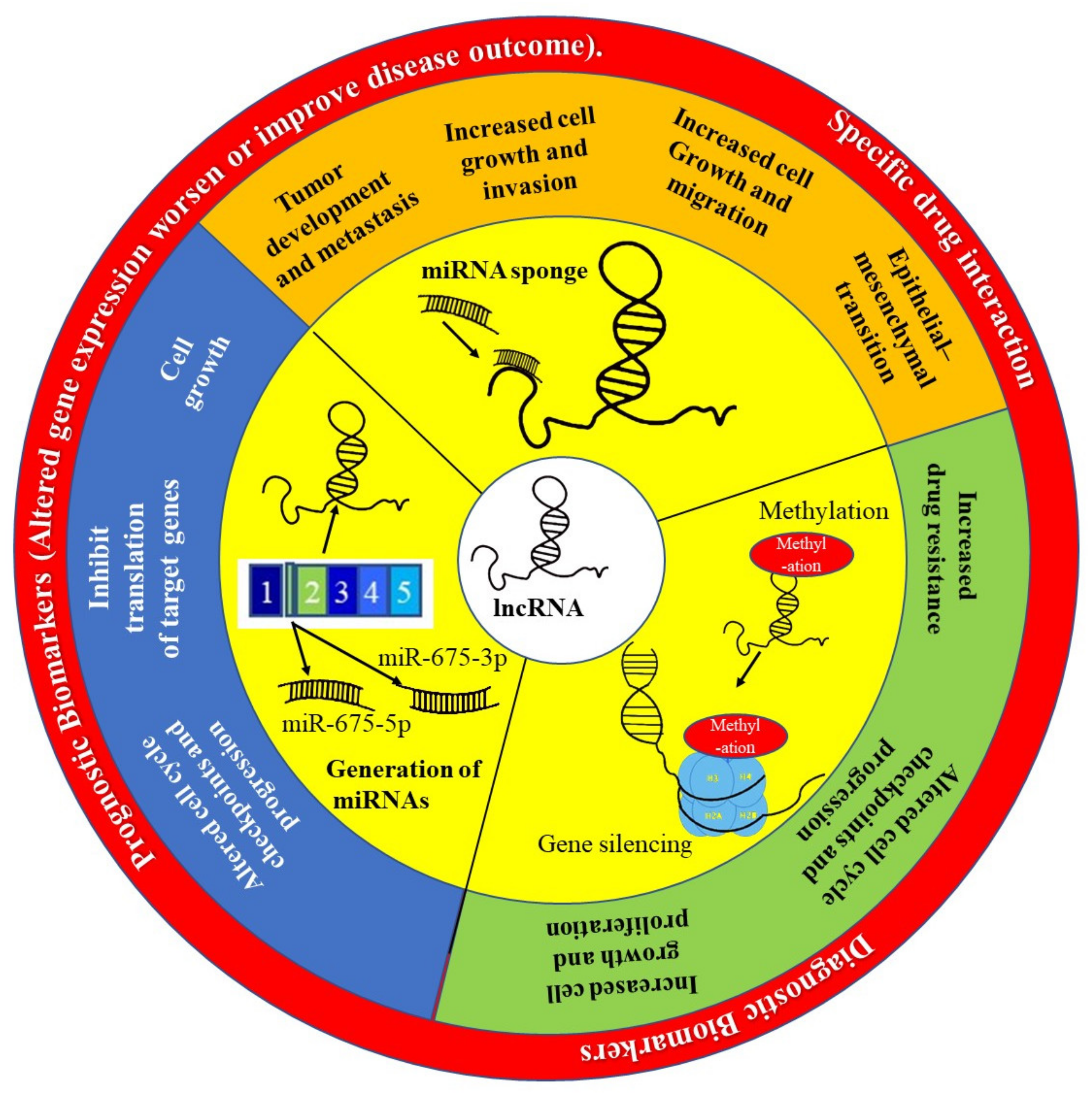 Ijms 23 00628 g005 Ijms 23 00628 g005