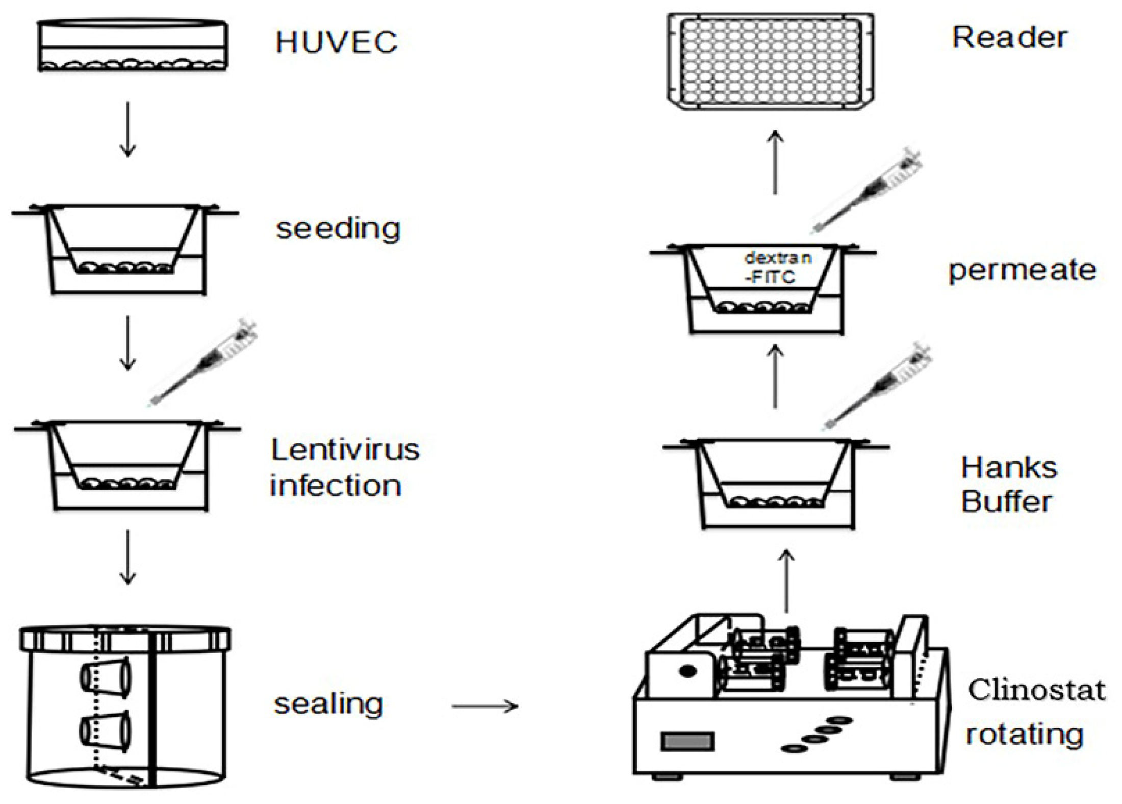 Ijms 23 00630 g001 Ijms 23 00630 g001