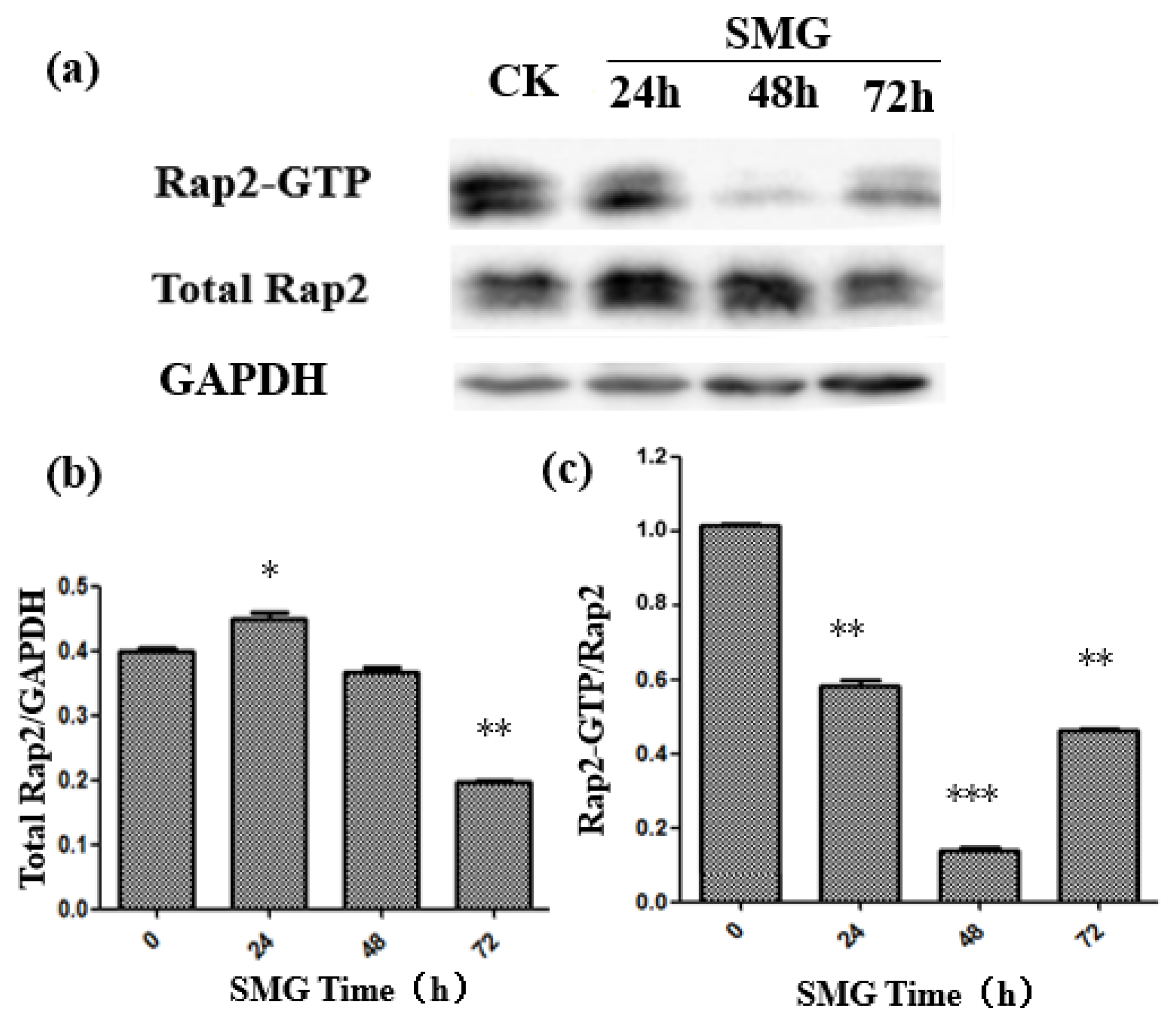 Ijms 23 00630 g003 Ijms 23 00630 g003