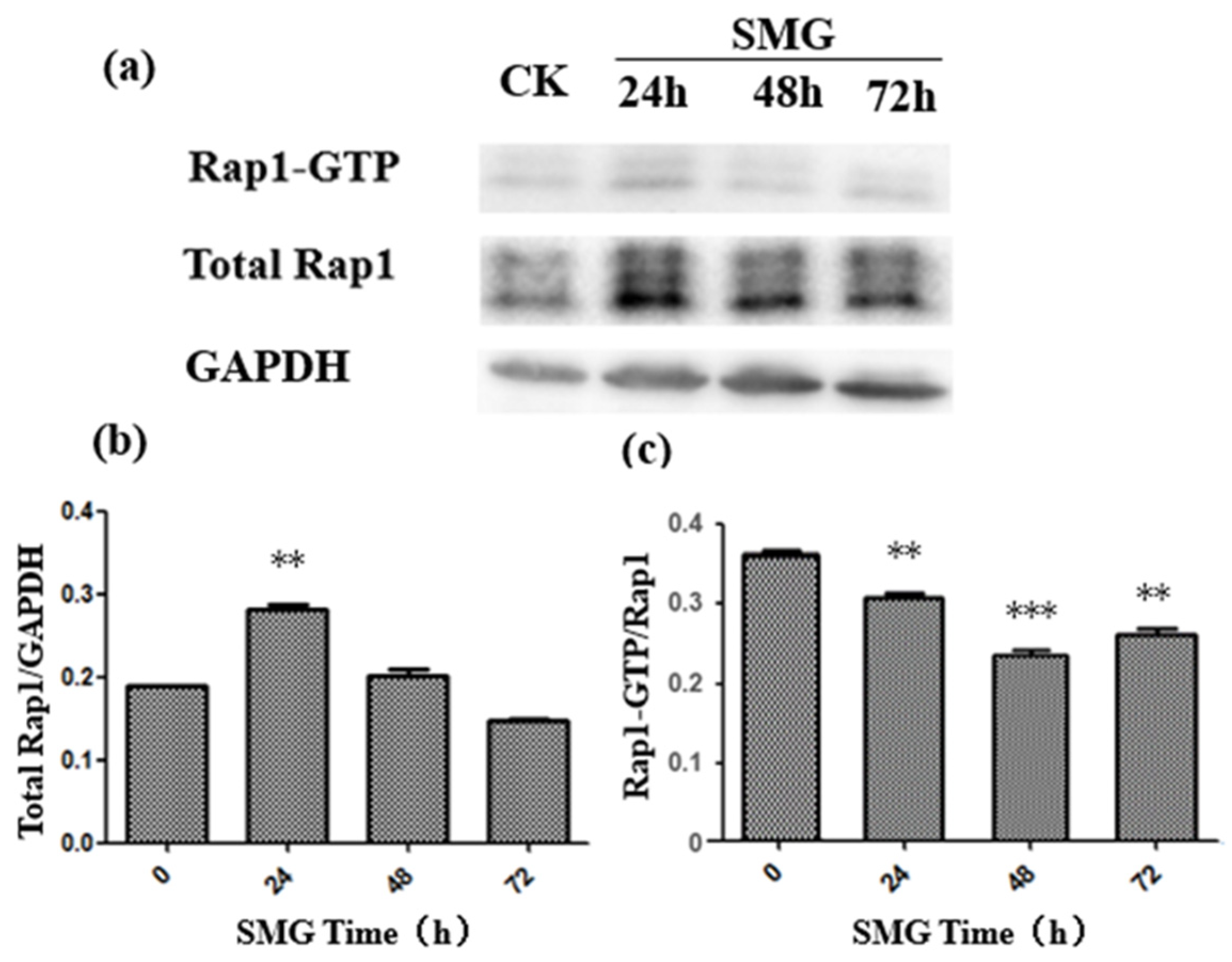 Ijms 23 00630 g004 Ijms 23 00630 g004