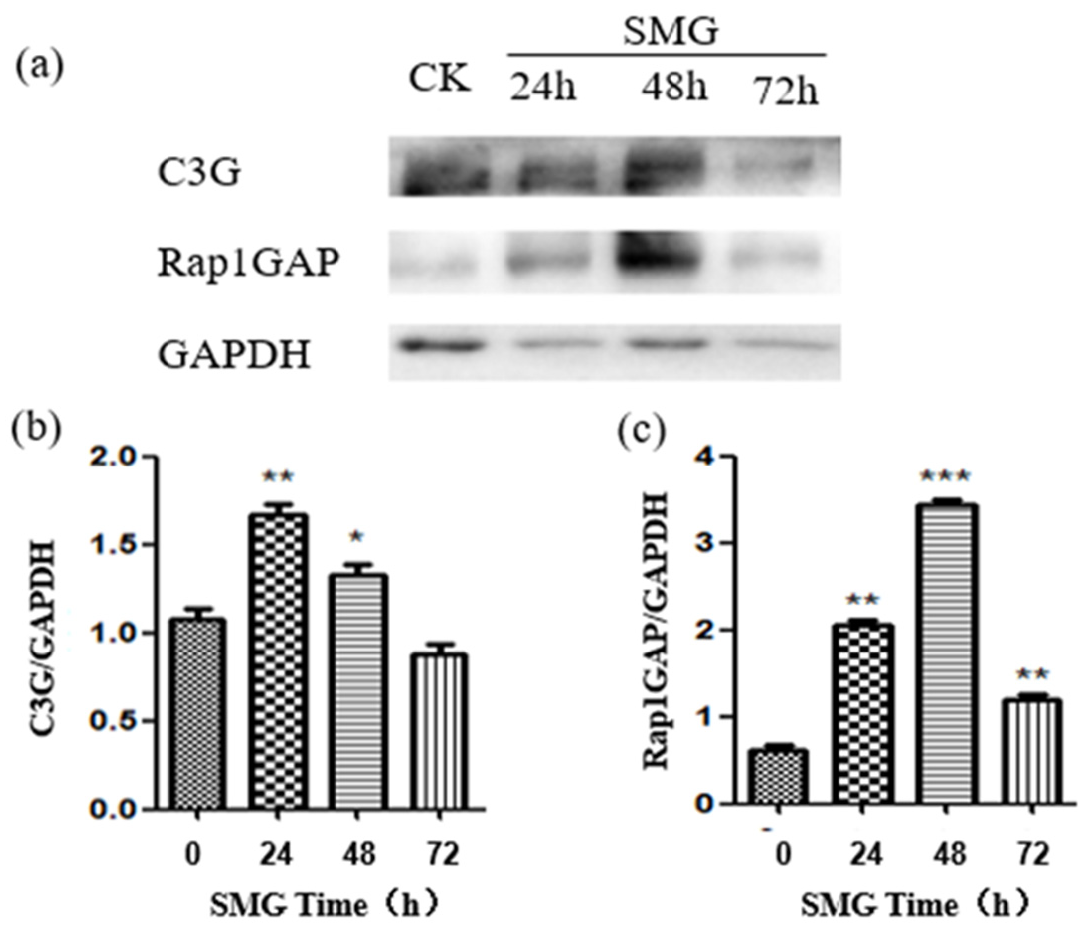 Ijms 23 00630 g005 Ijms 23 00630 g005