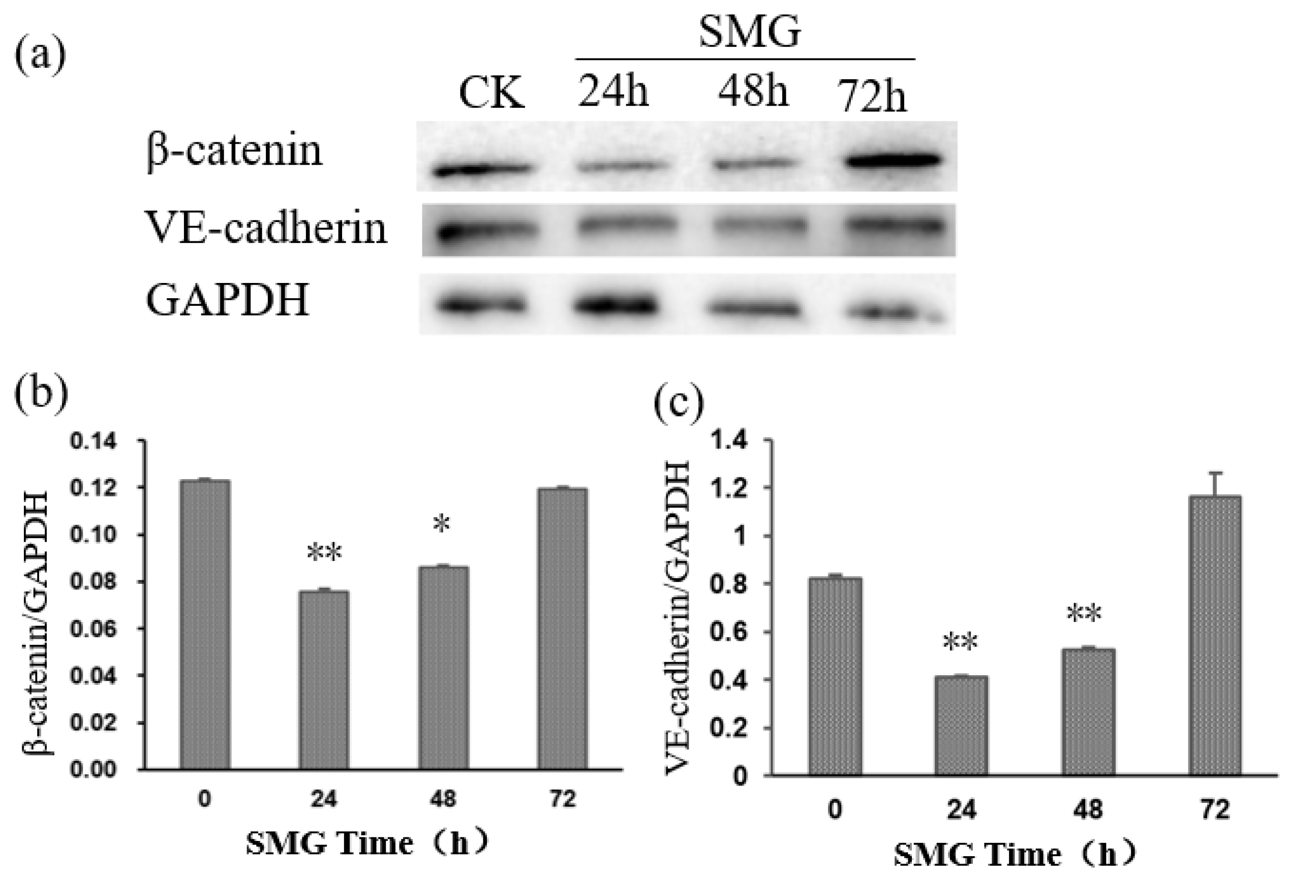 Ijms 23 00630 g006 Ijms 23 00630 g006