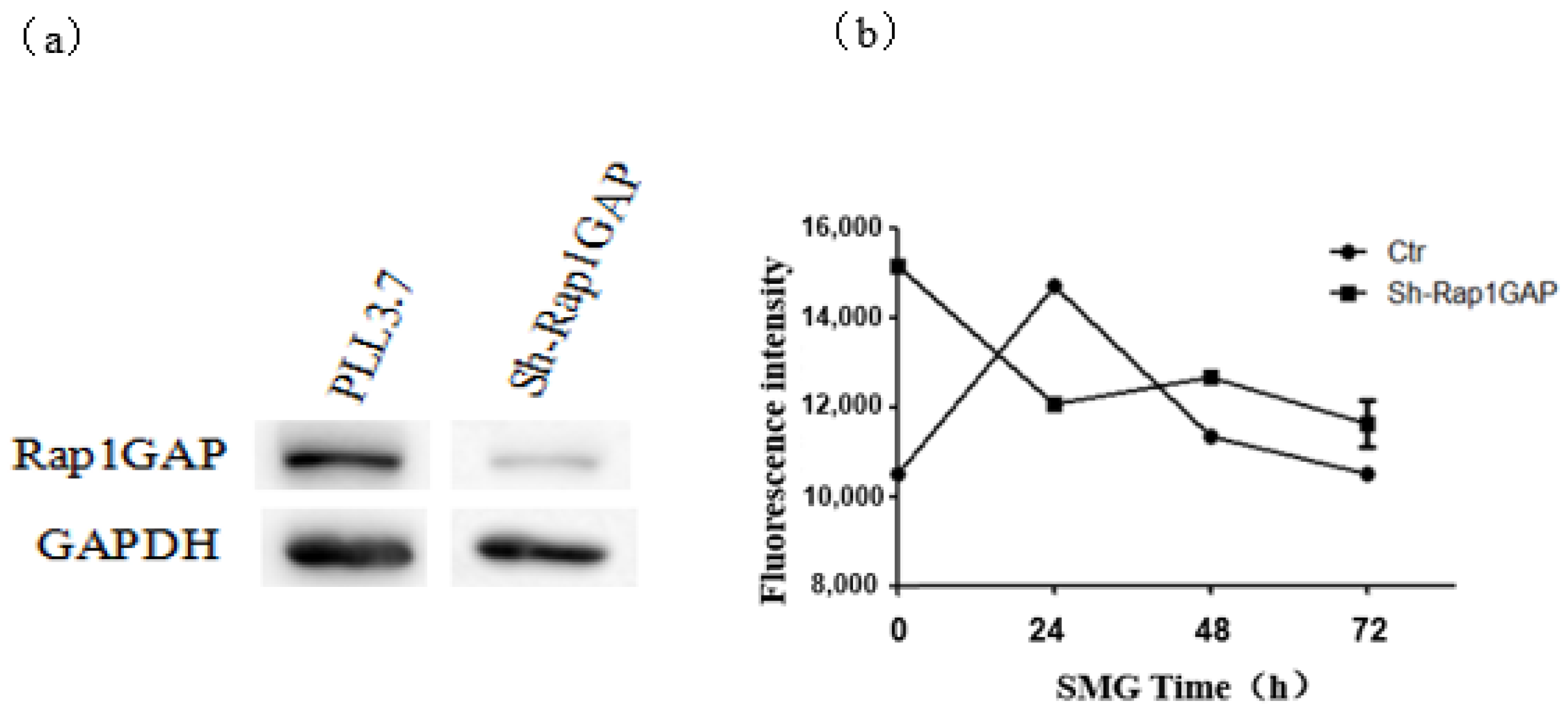 Ijms 23 00630 g009 Ijms 23 00630 g009