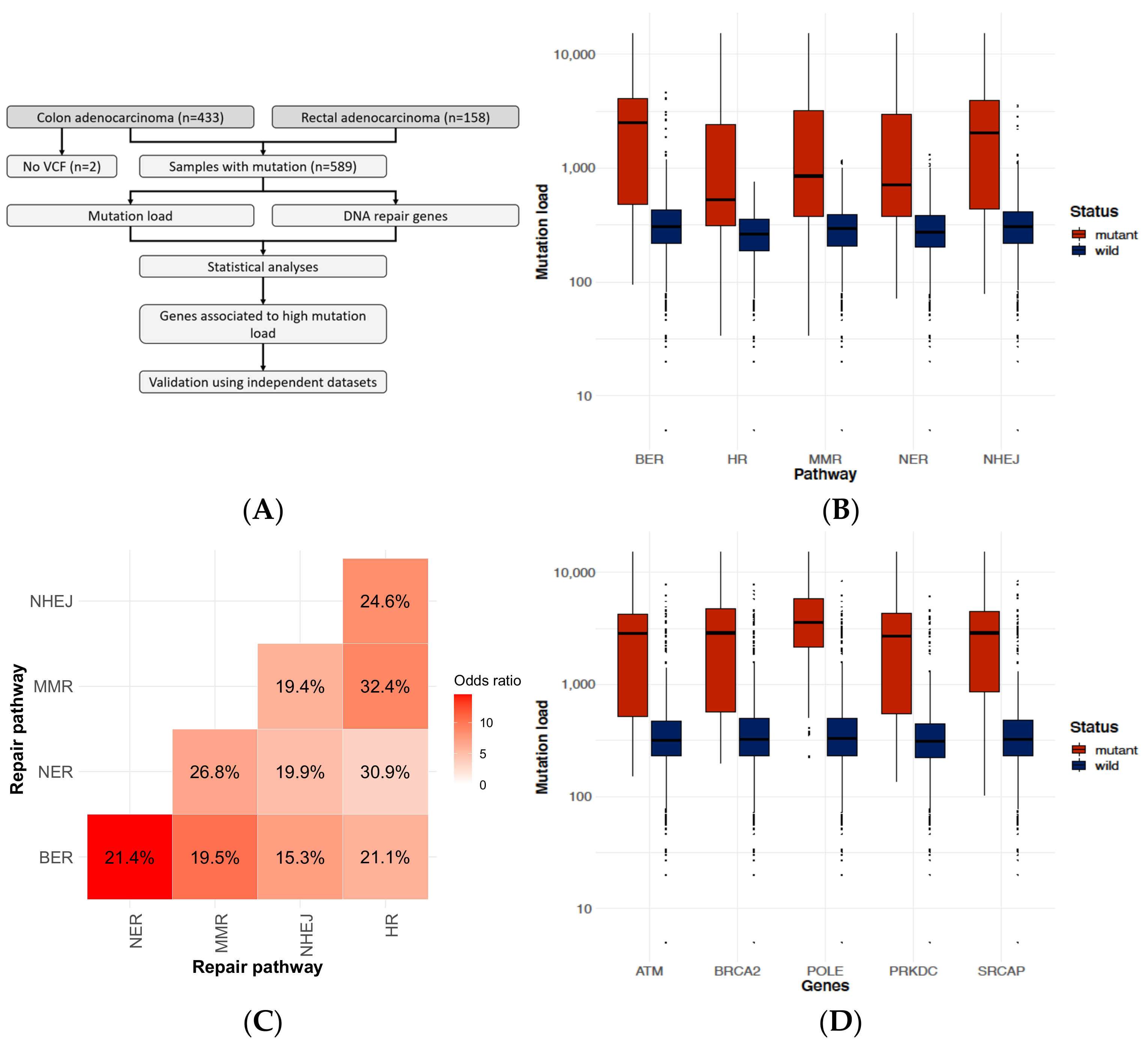 Ijms 23 00633 g001 550