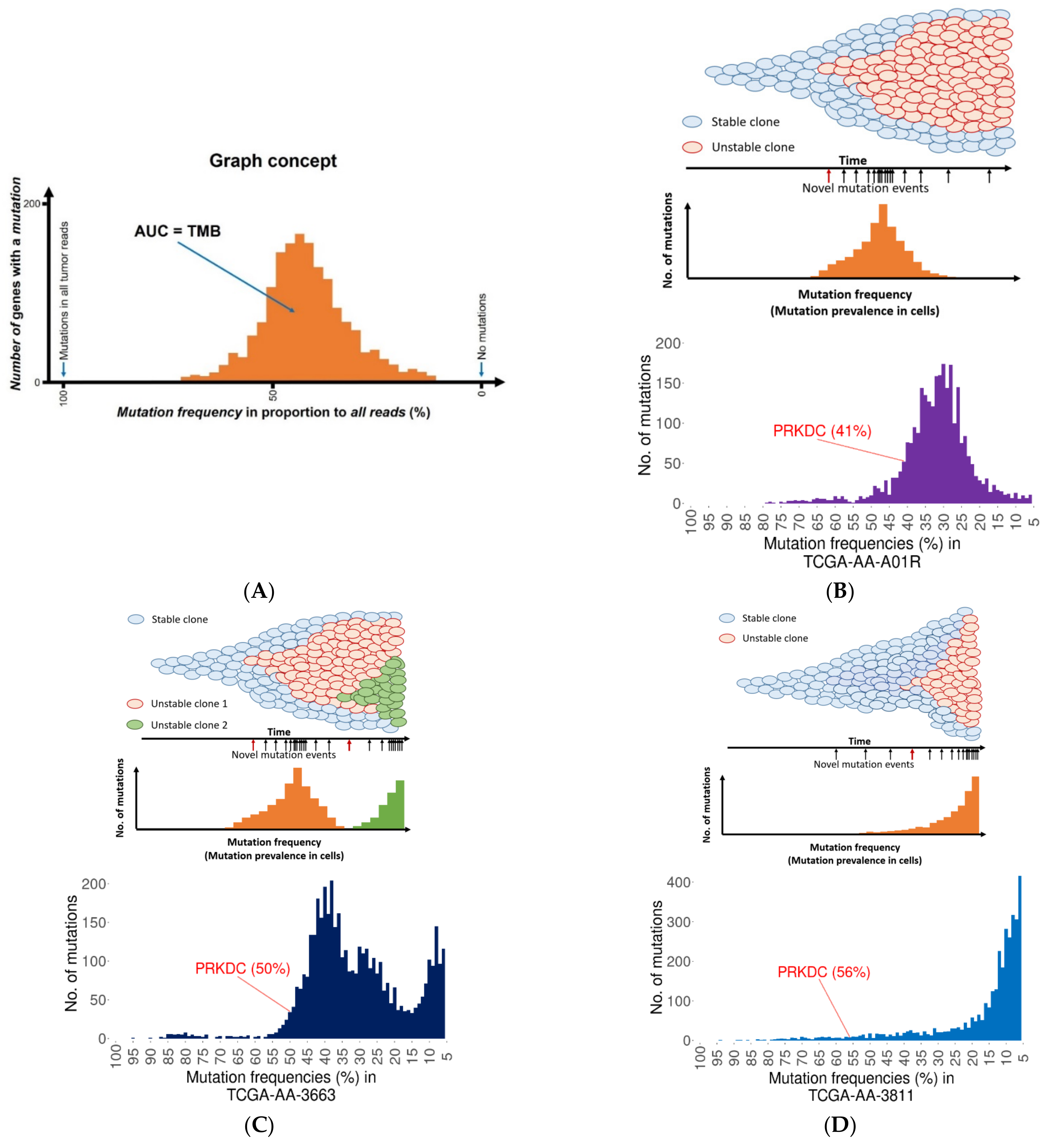 Ijms 23 00633 g002 550