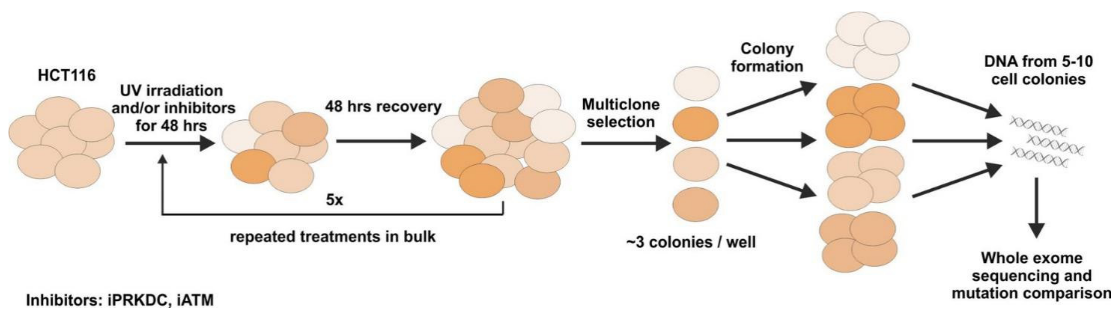 Ijms 23 00633 g004 550