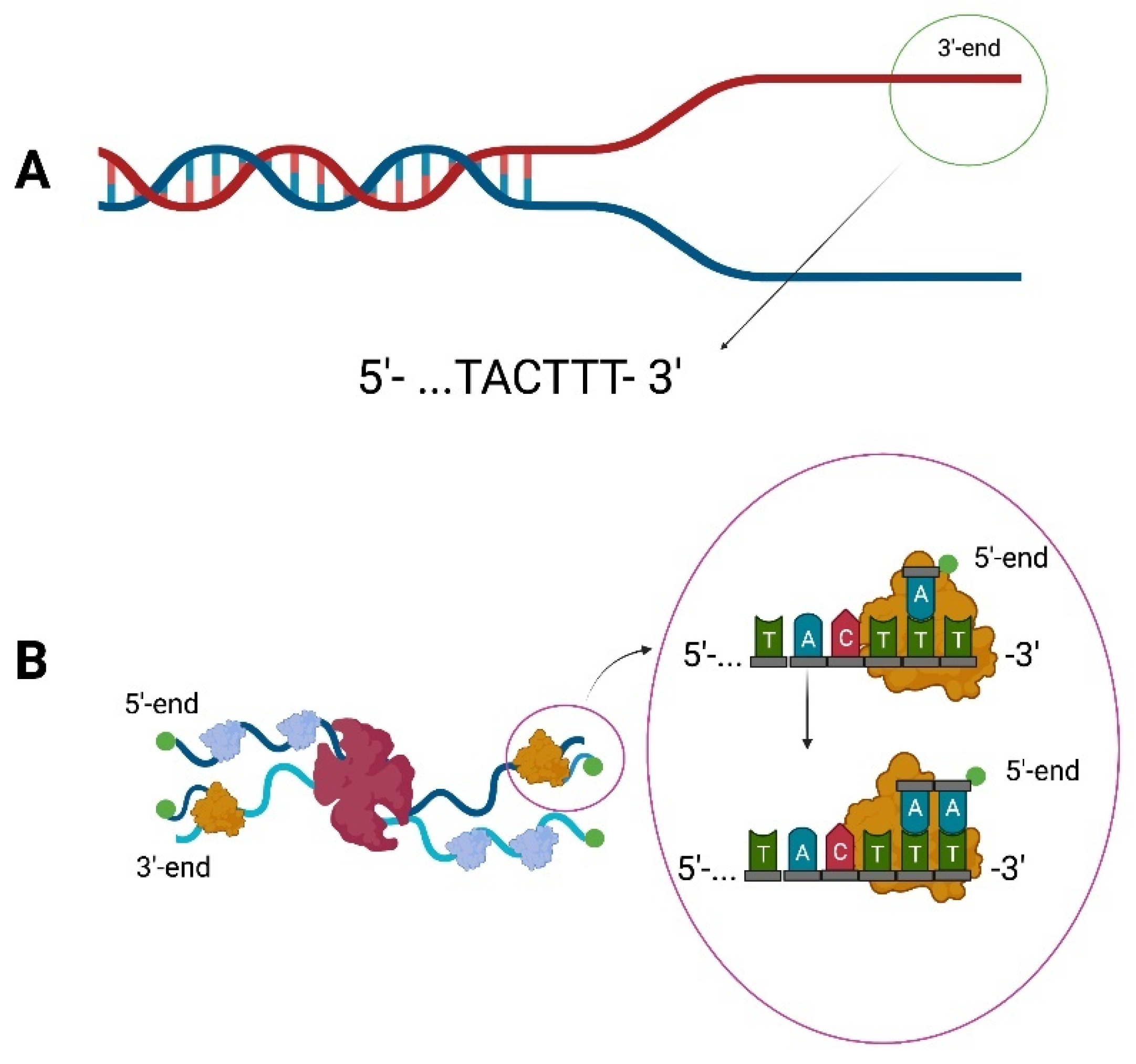 Ijms 23 00635 g001 Ijms 23 00635 g001