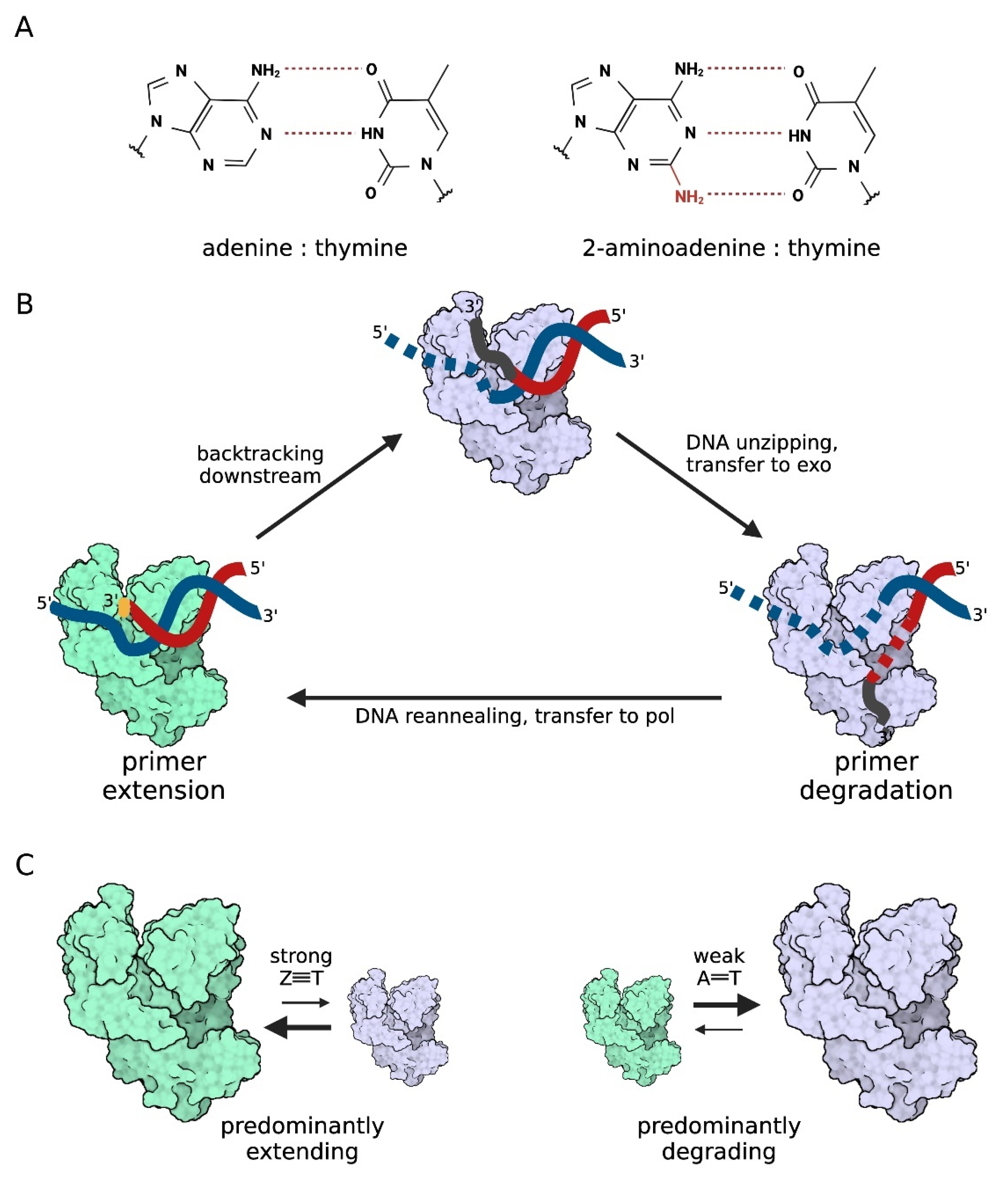 Ijms 23 00635 g006 Ijms 23 00635 g006