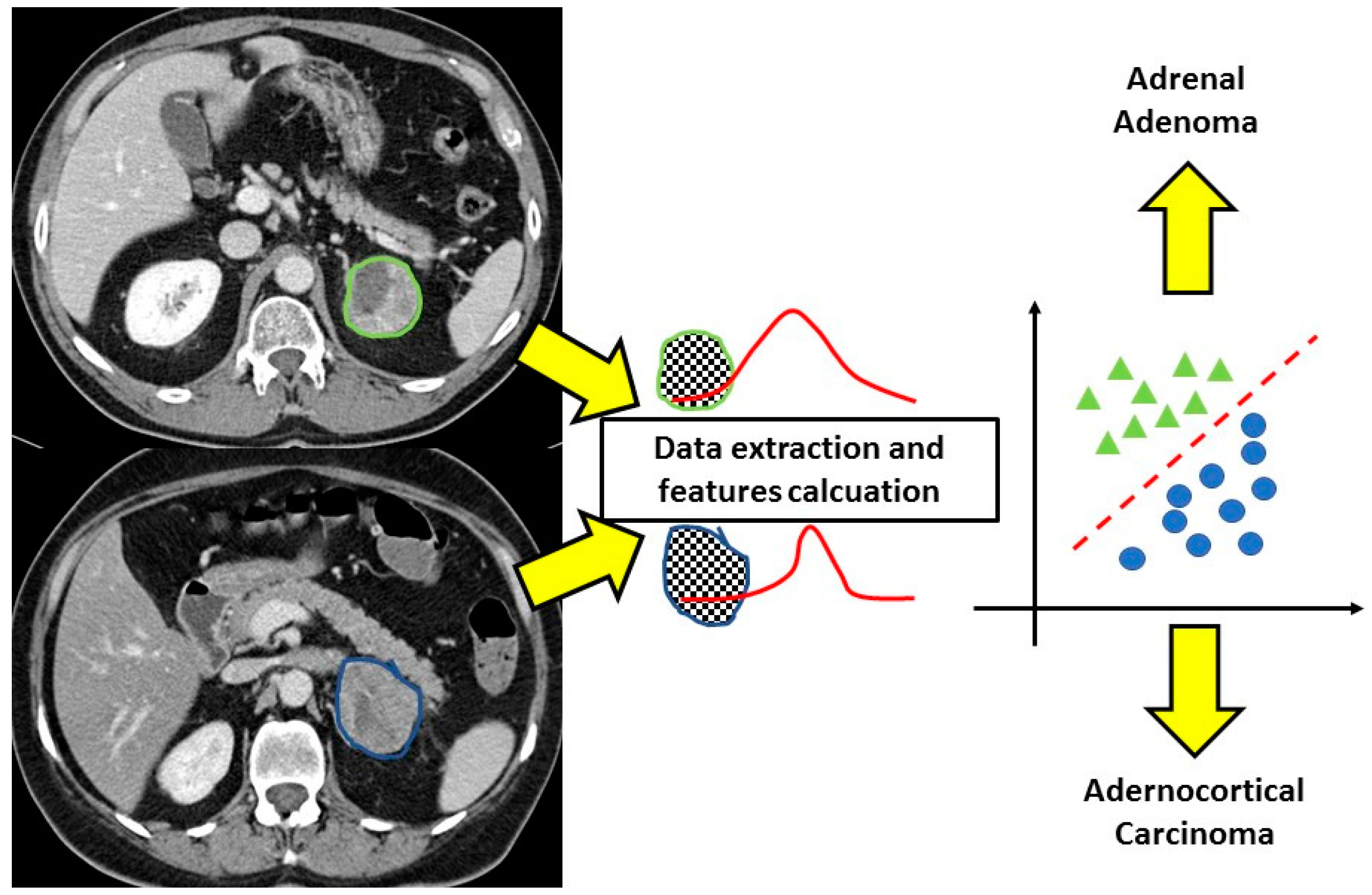 Ijms 23 00637 g002 Ijms 23 00637 g002