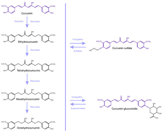 Orlistat warfarin 5mg