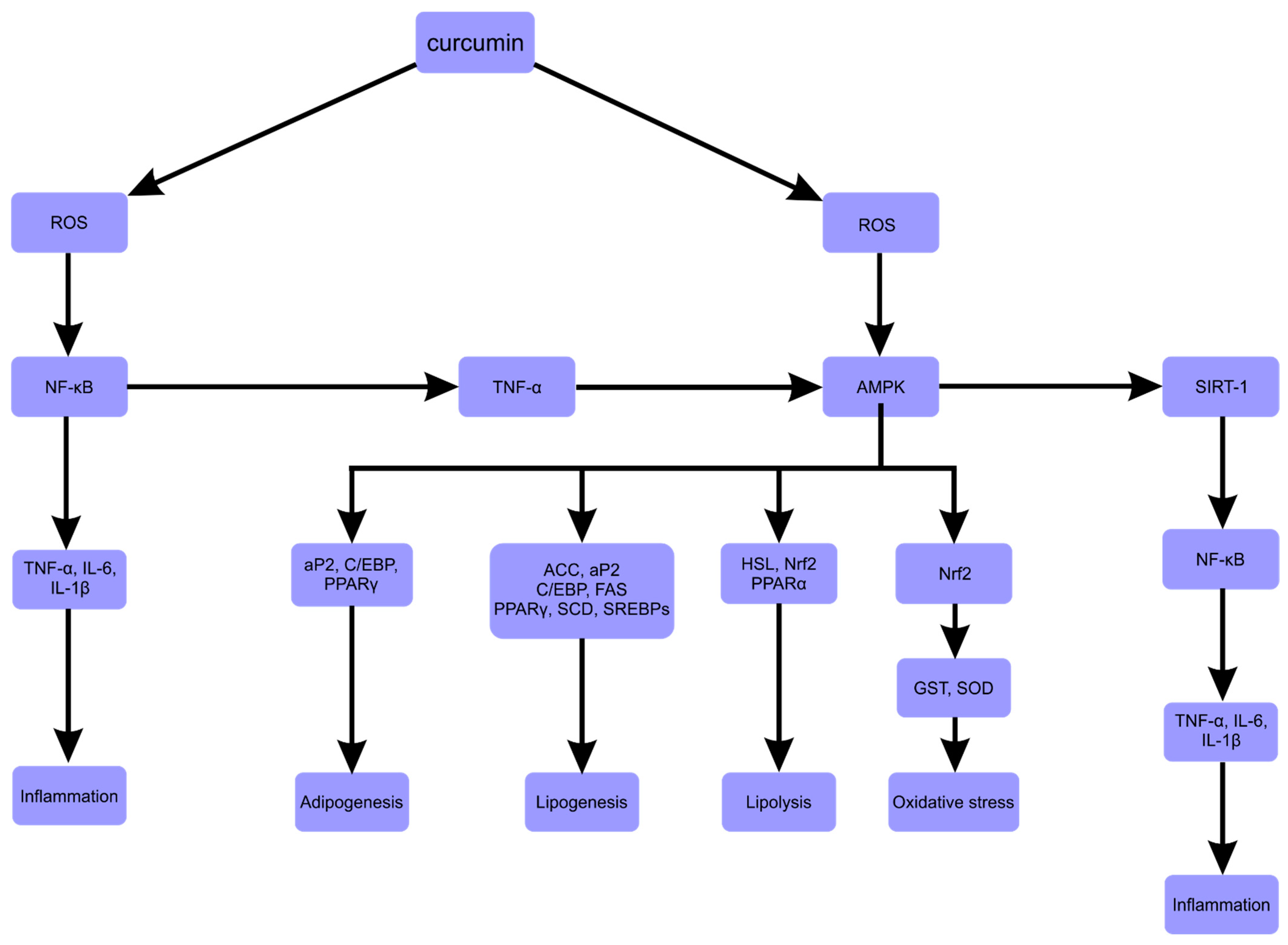 Ijms 23 00639 g003 Ijms 23 00639 g003