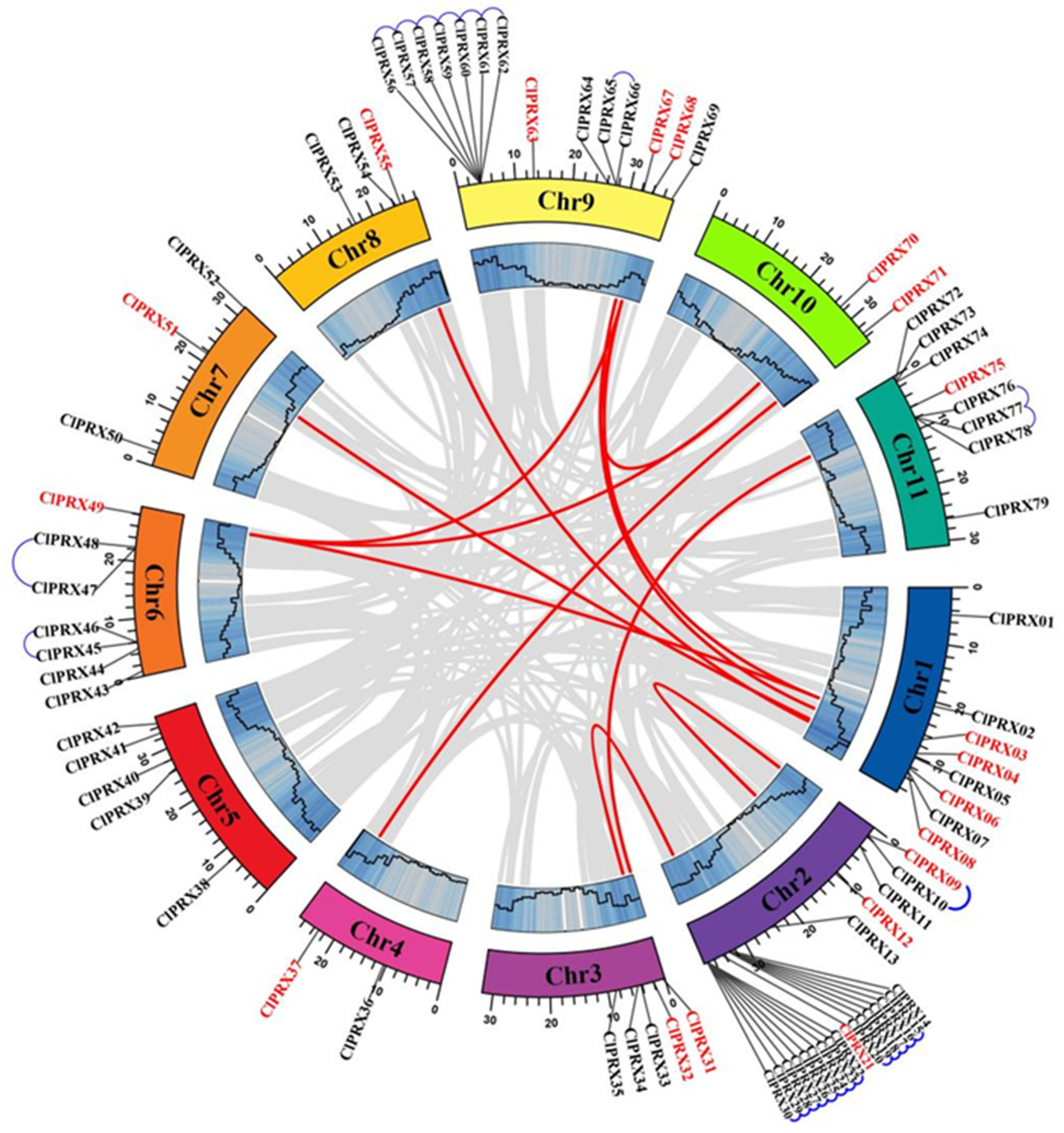 Ijms 23 00642 g001 Ijms 23 00642 g001