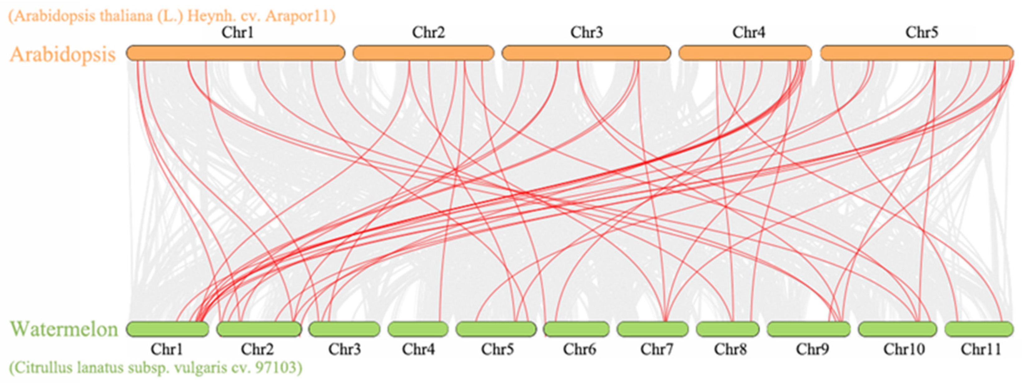 Ijms 23 00642 g002 Ijms 23 00642 g002