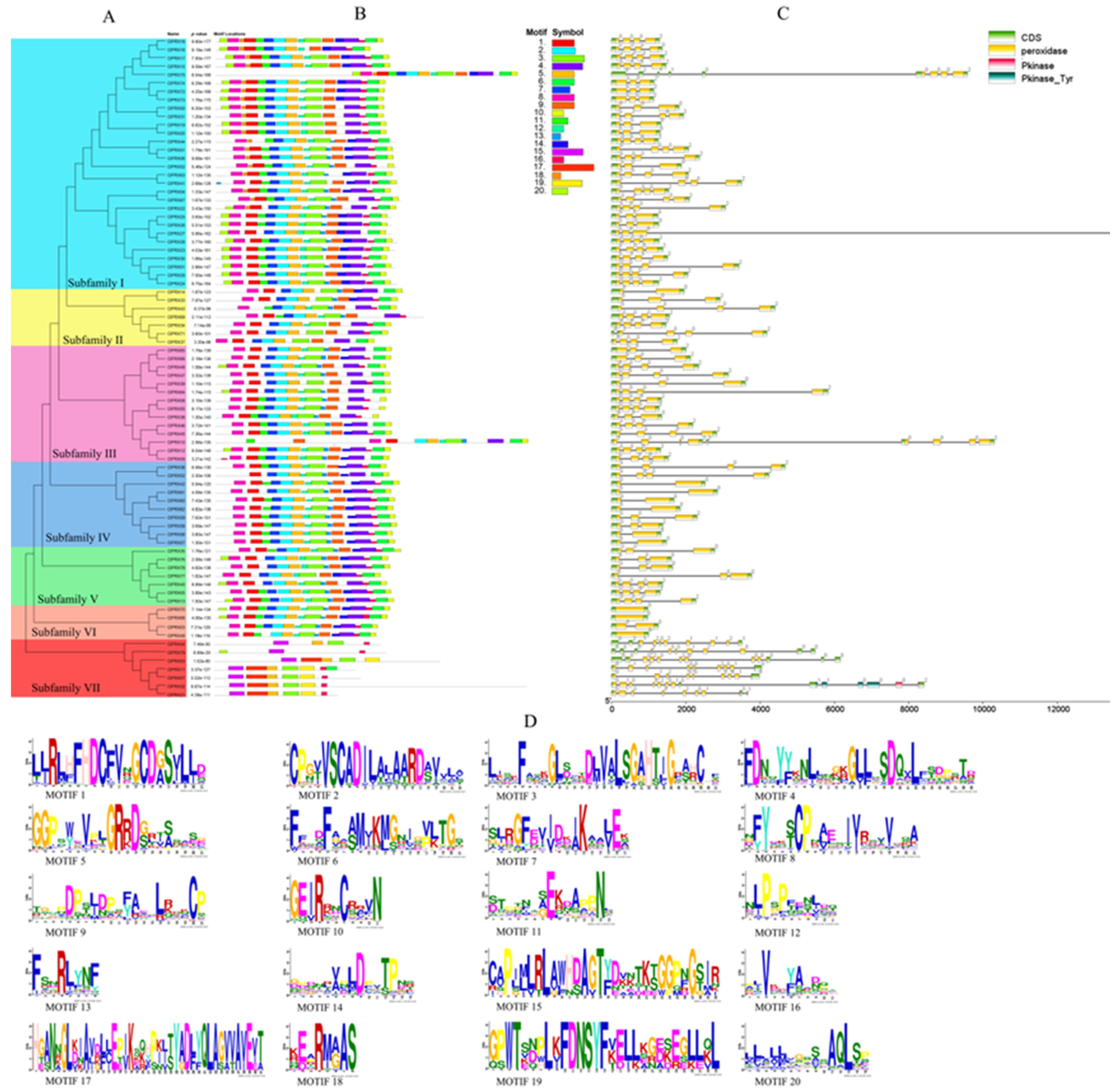 Ijms 23 00642 g003 Ijms 23 00642 g003