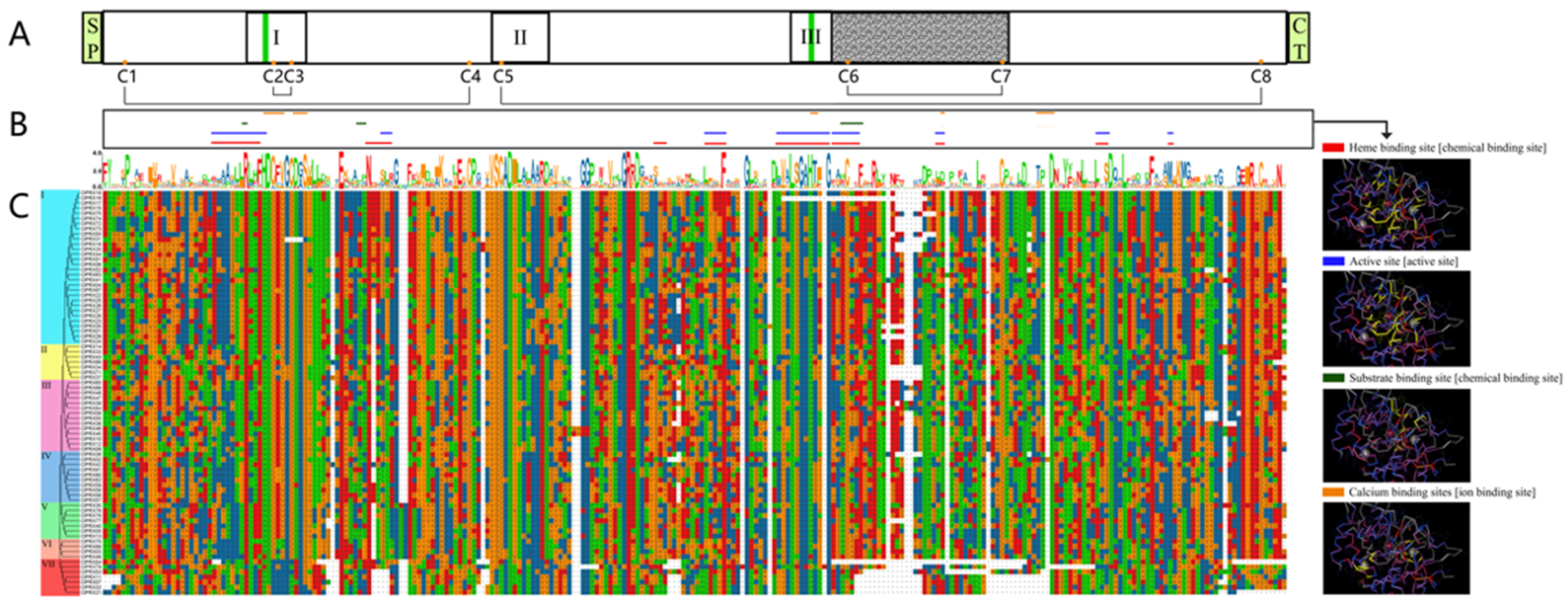 Ijms 23 00642 g004 Ijms 23 00642 g004