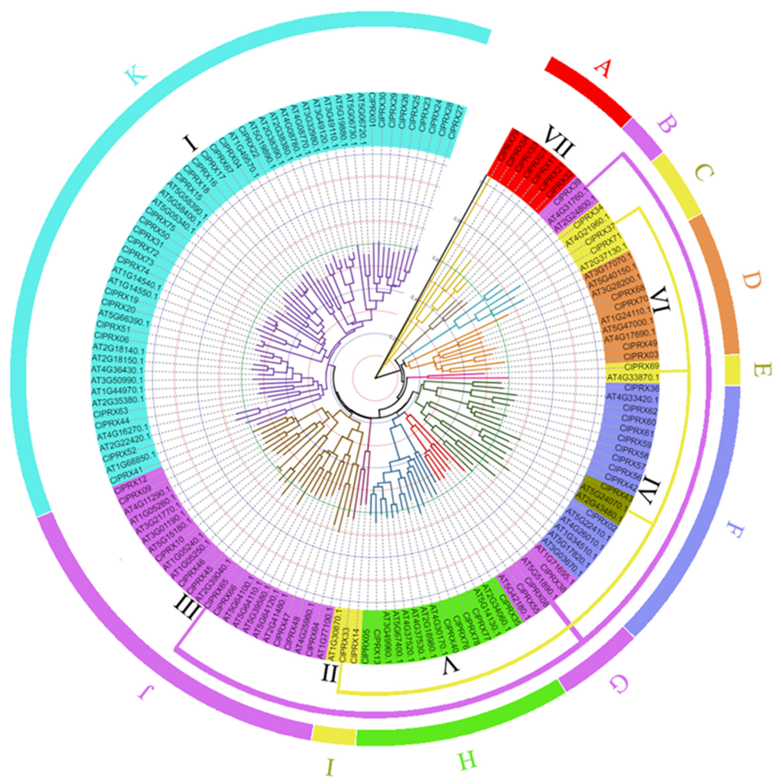 Ijms 23 00642 g005 Ijms 23 00642 g005
