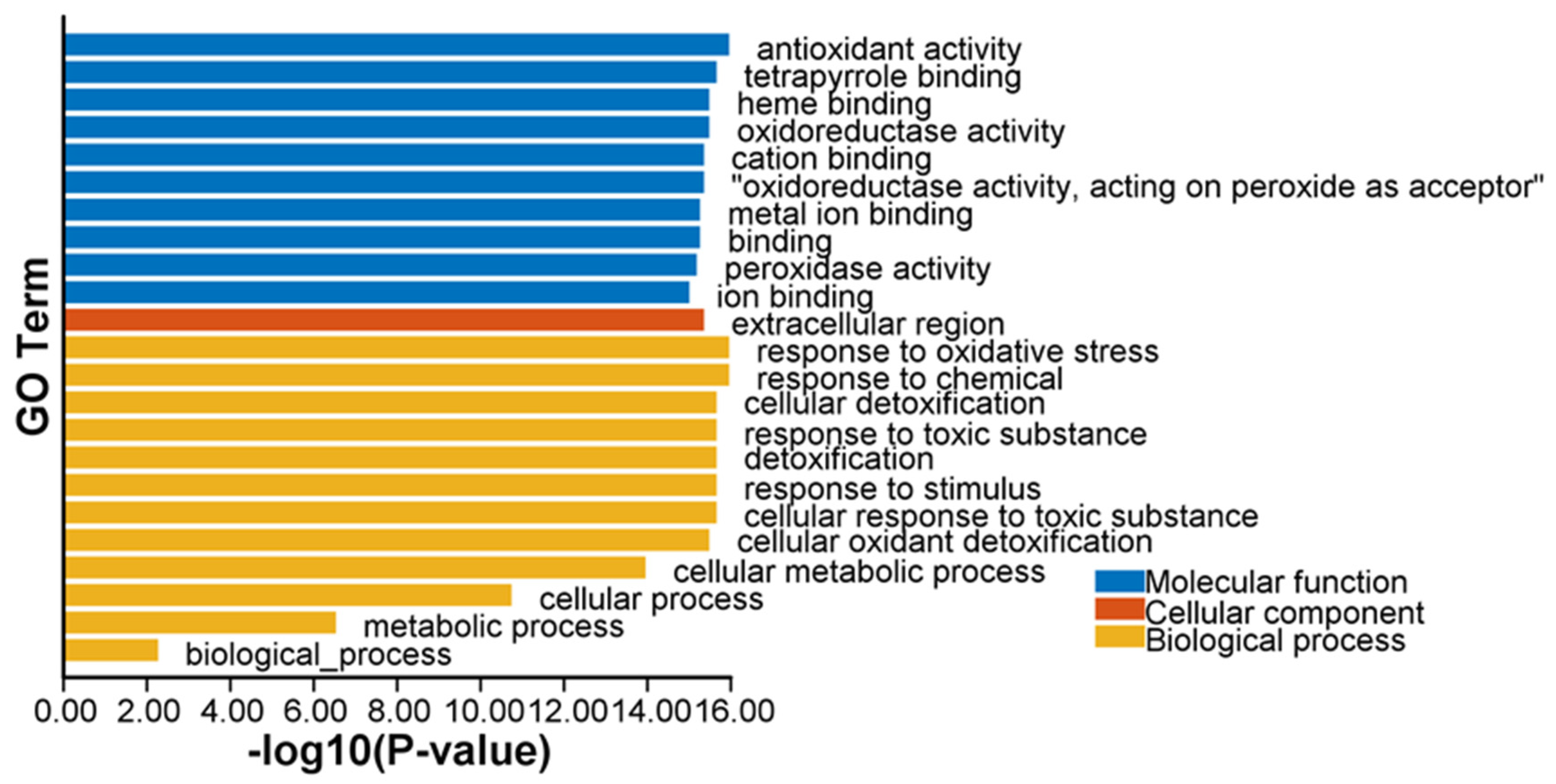 Ijms 23 00642 g006 Ijms 23 00642 g006