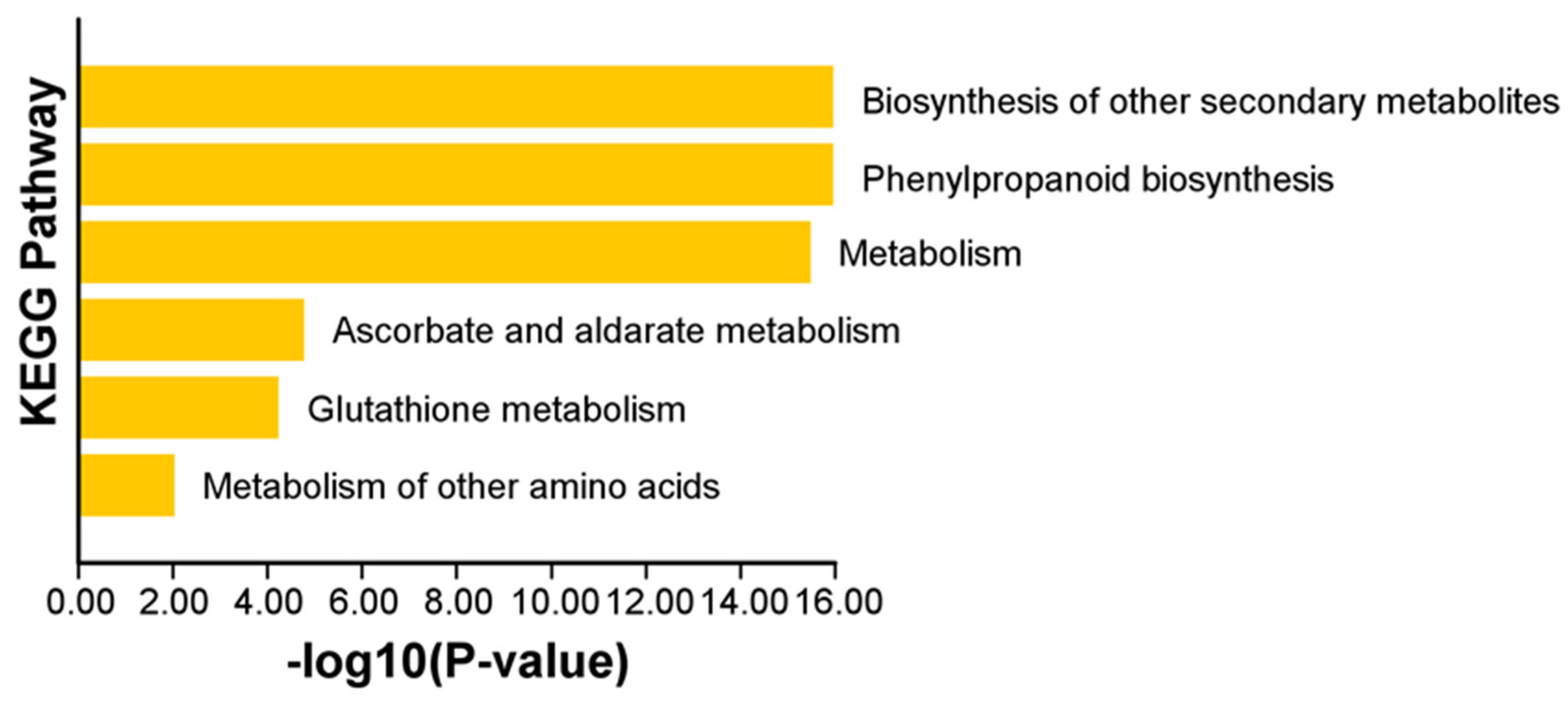 Ijms 23 00642 g007 Ijms 23 00642 g007