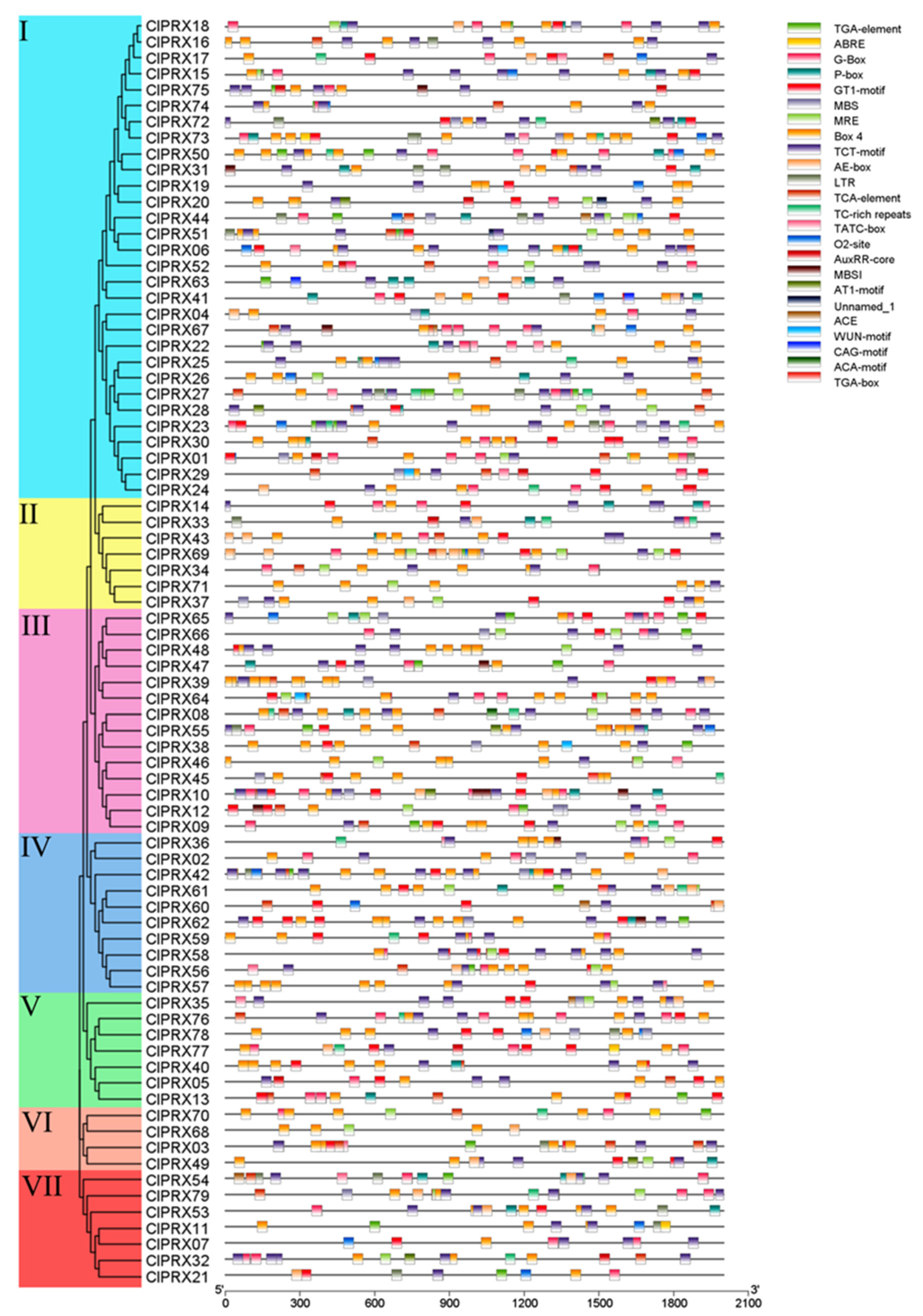 Ijms 23 00642 g008 Ijms 23 00642 g008