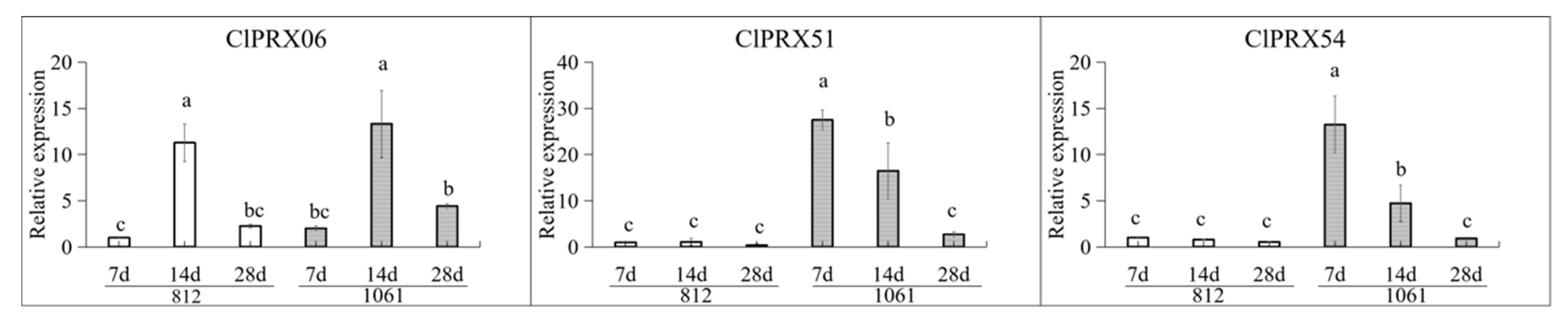 Ijms 23 00642 g012 Ijms 23 00642 g012