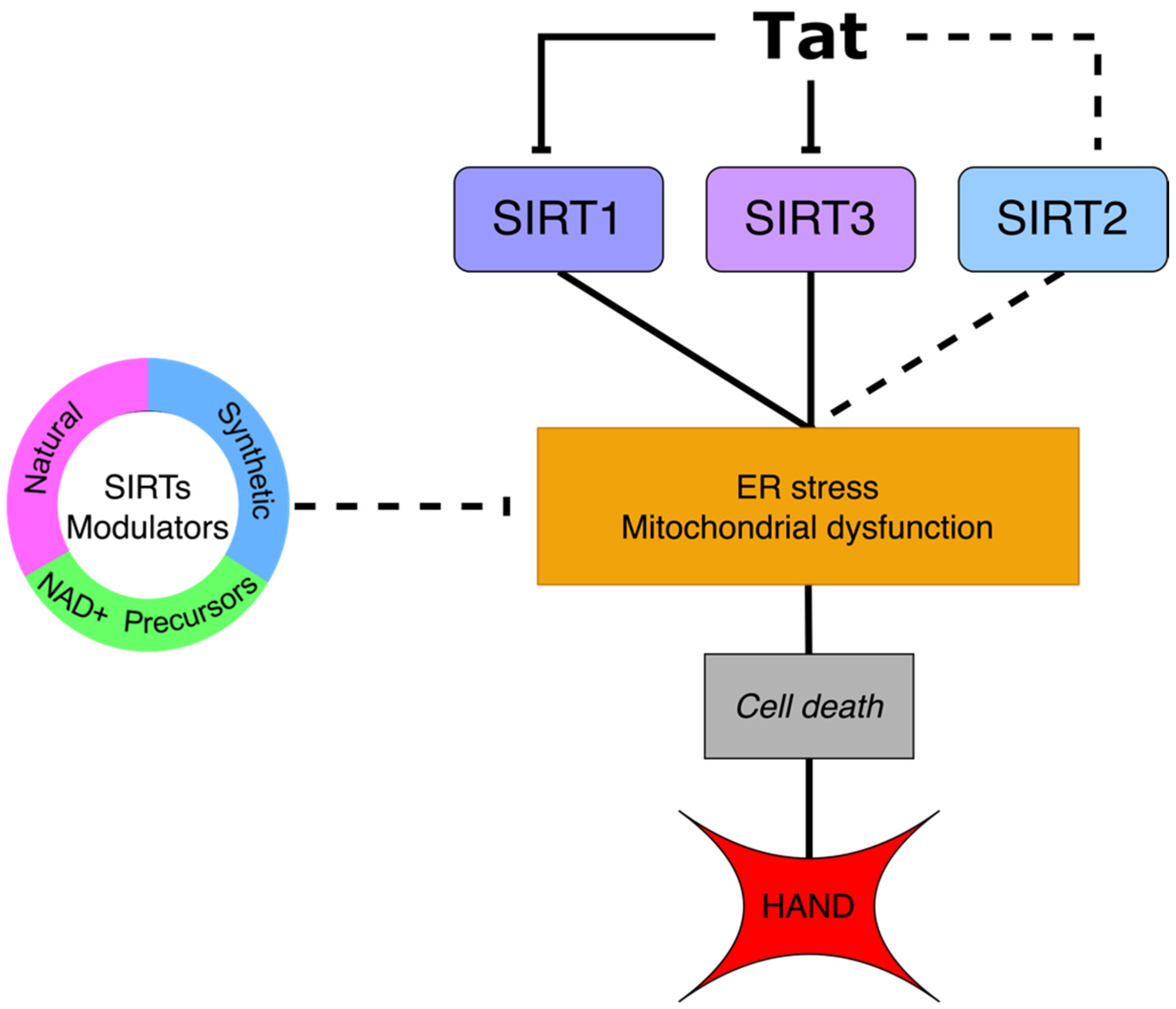 Ijms 23 00643 g001 550