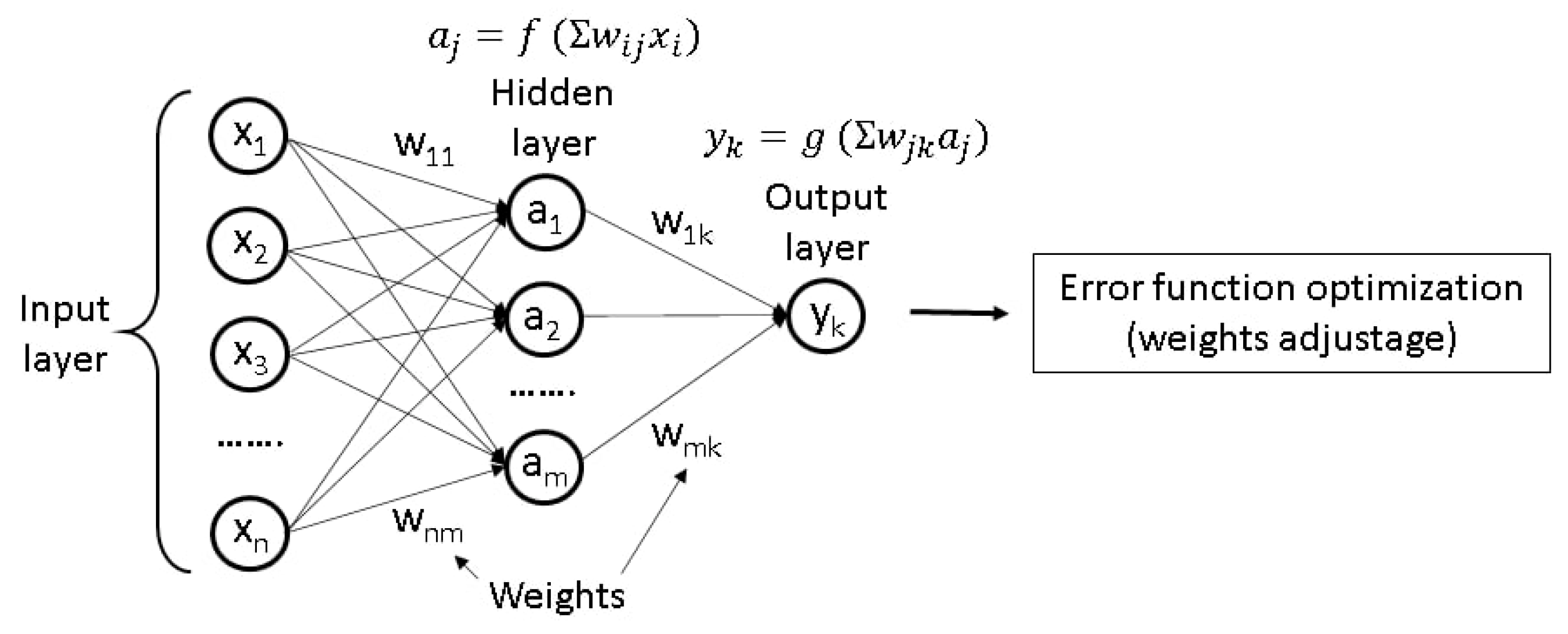 Ijms 23 00645 g002 550