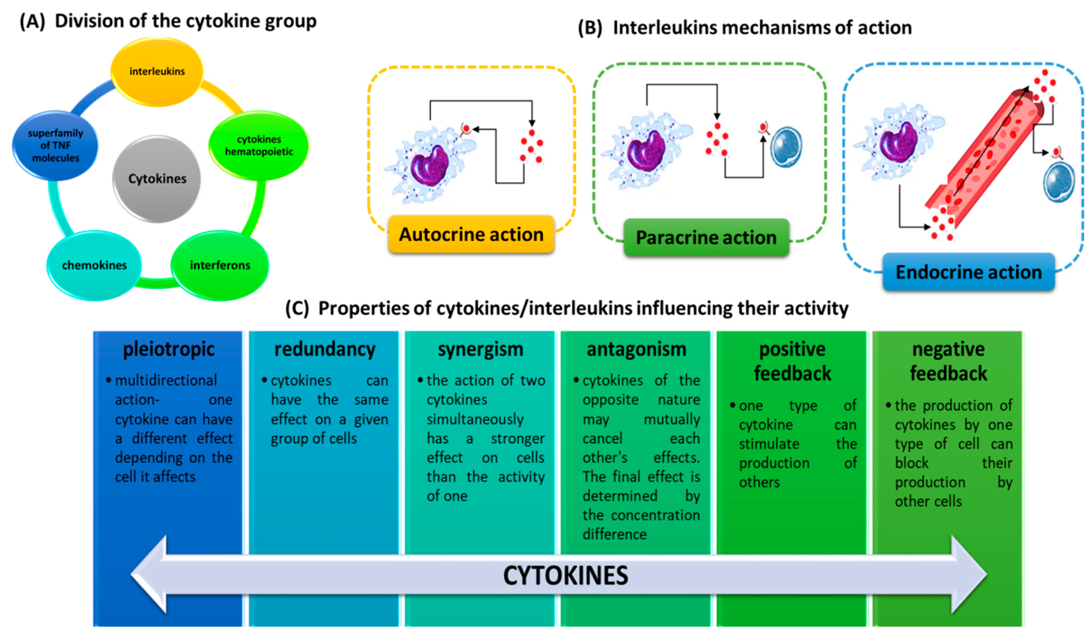 Ijms 23 00647 g001 Ijms 23 00647 g001