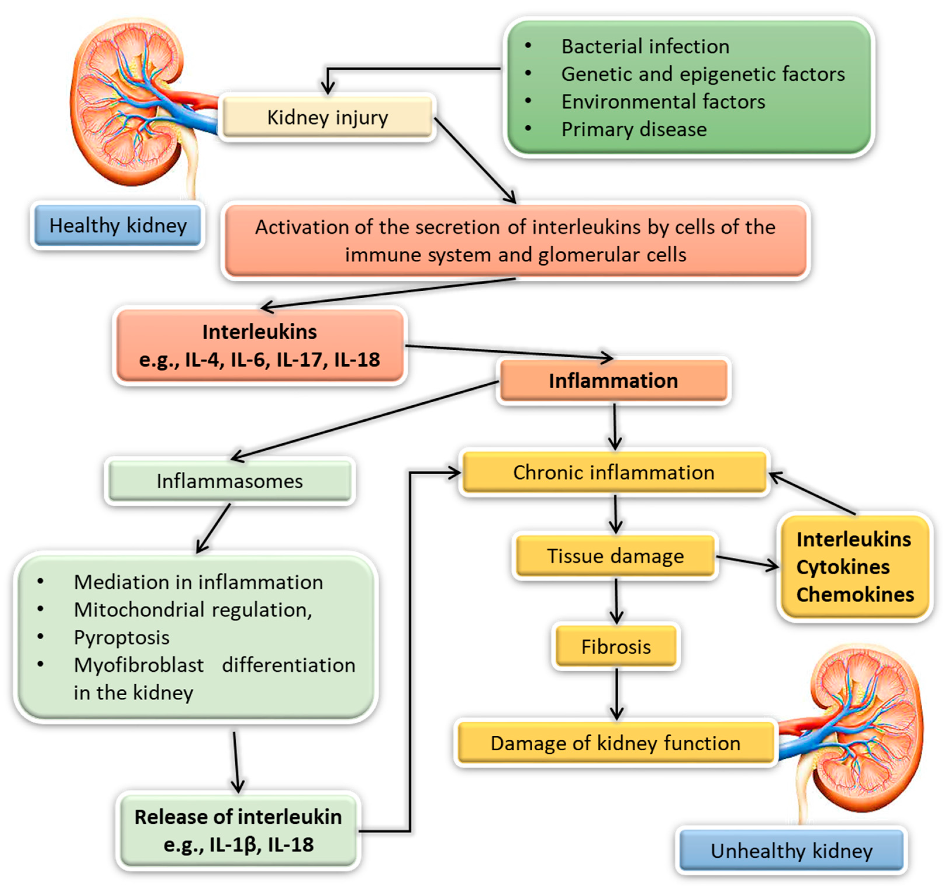 Ijms 23 00647 g003 Ijms 23 00647 g003